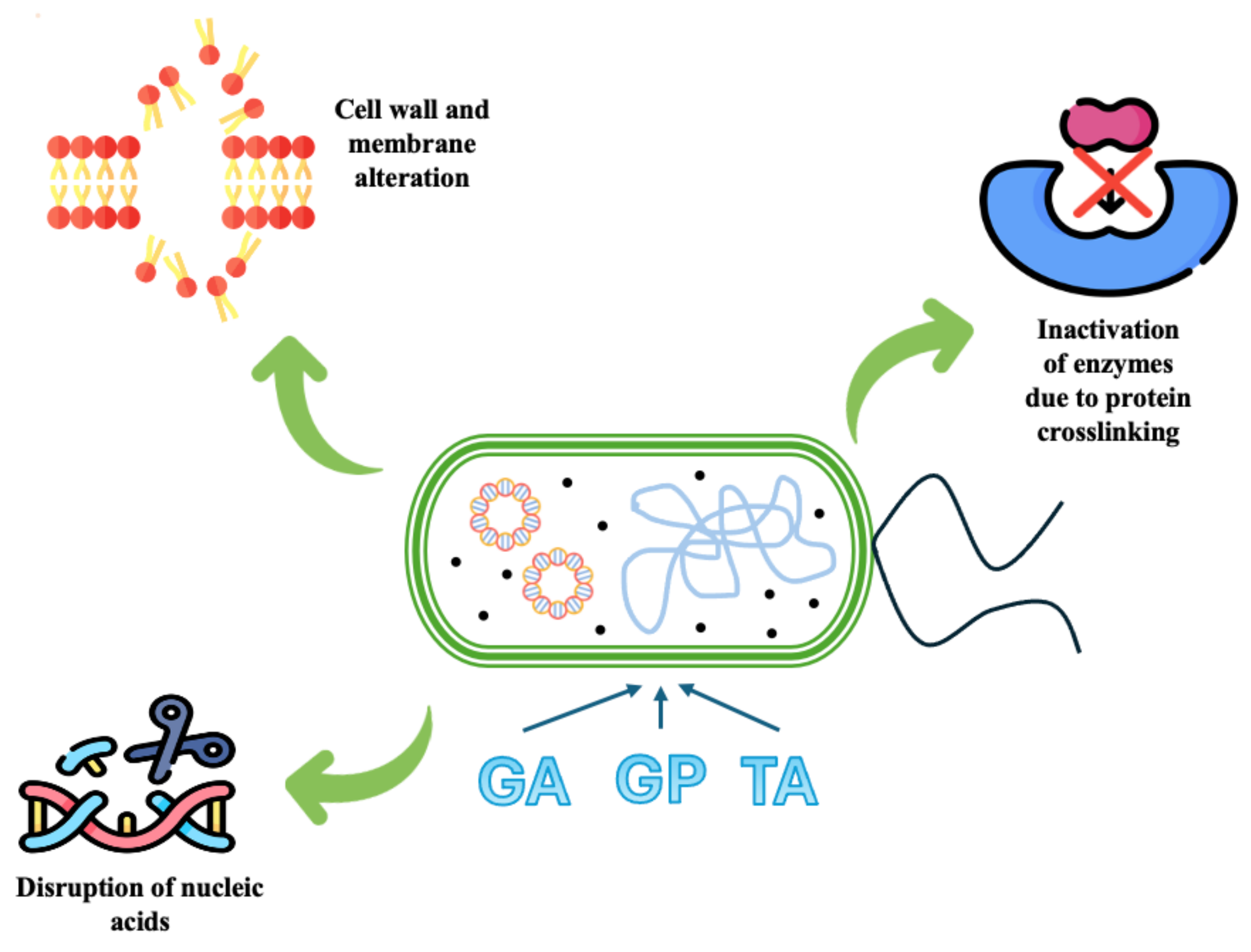 Materials 18 00998 g015