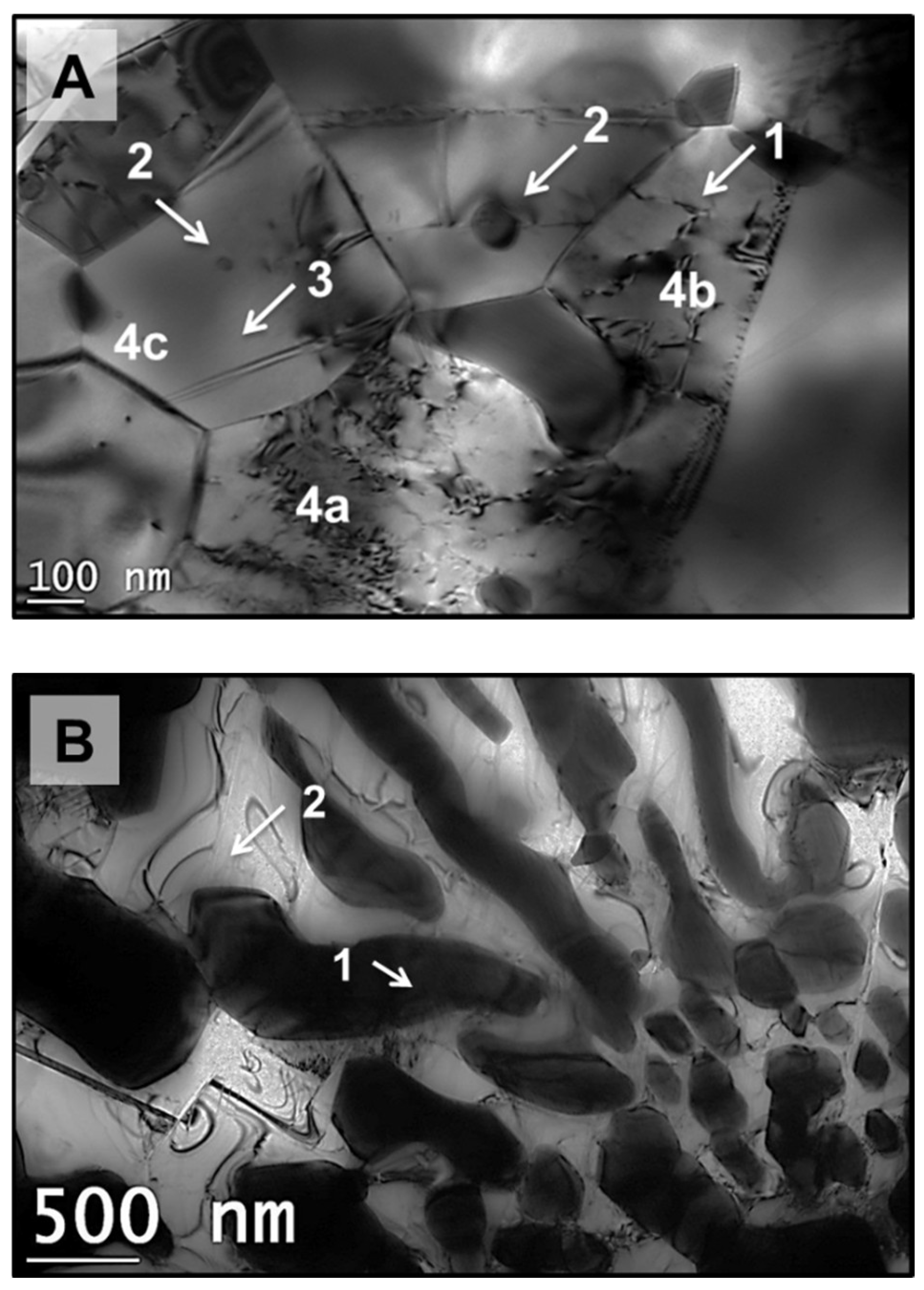 Materials 18 01003 g009