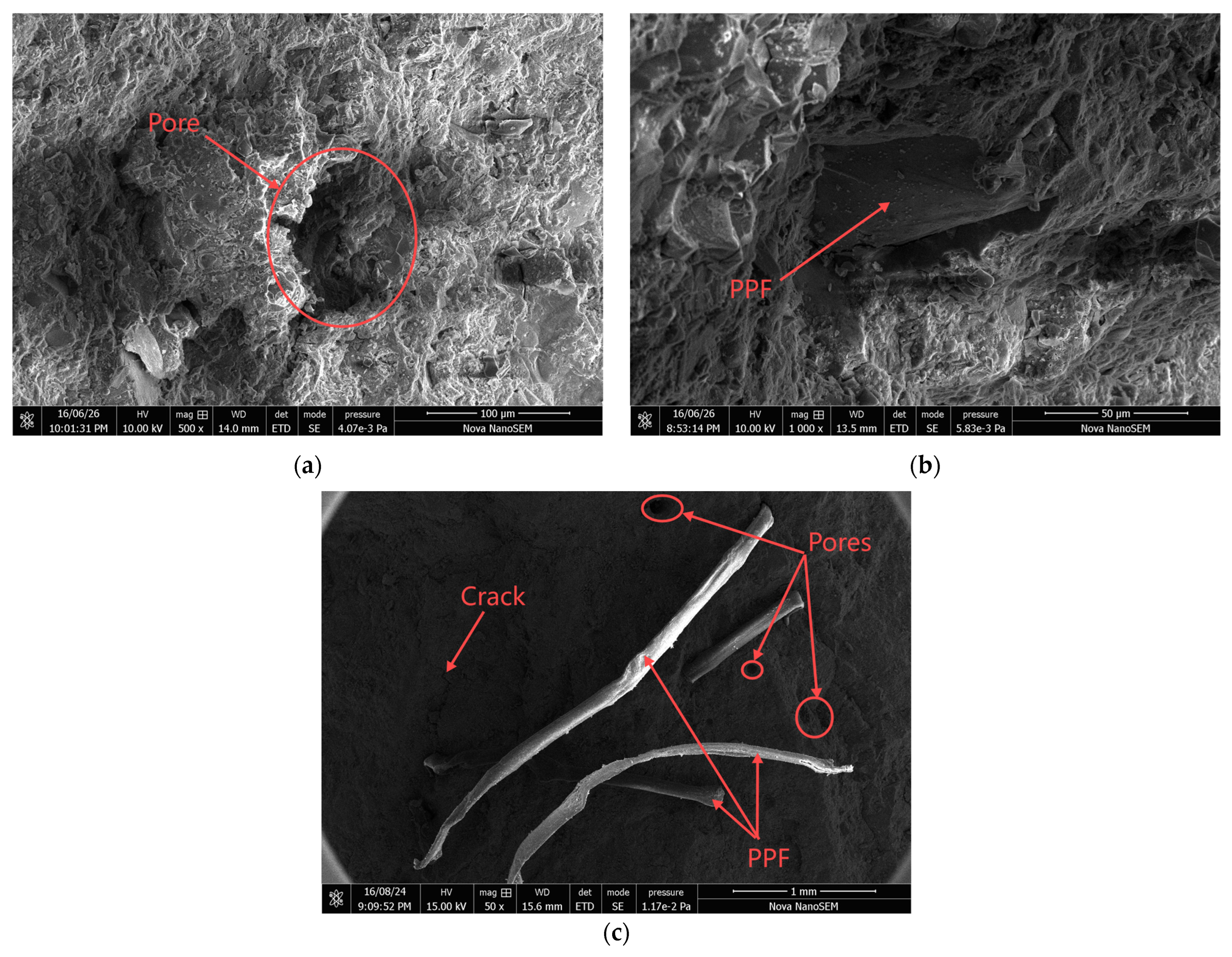 Materials 18 01007 g012