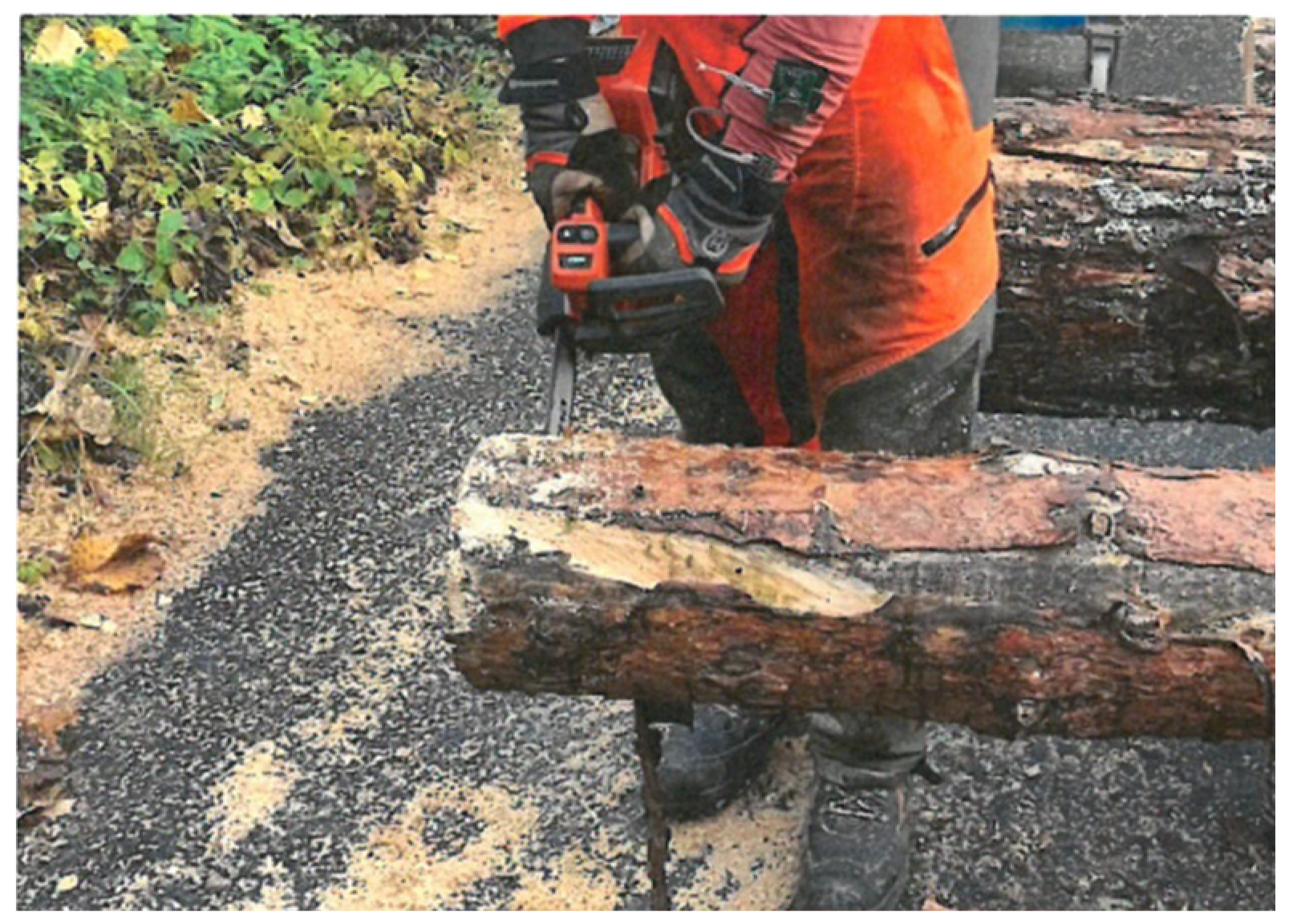 Materials 18 01010 g006 Materials 18 01010 g006