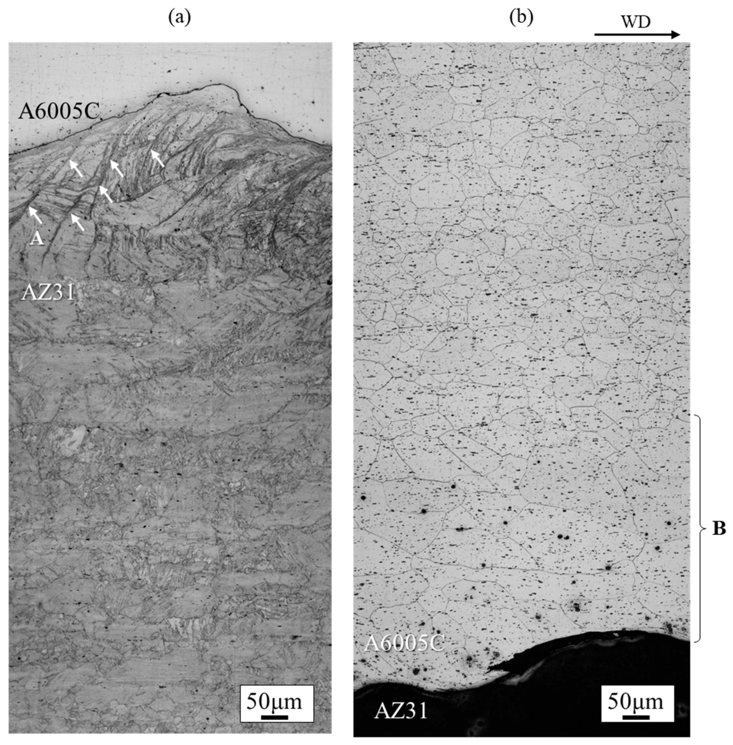 Materials 18 01013 g005 Materials 18 01013 g005