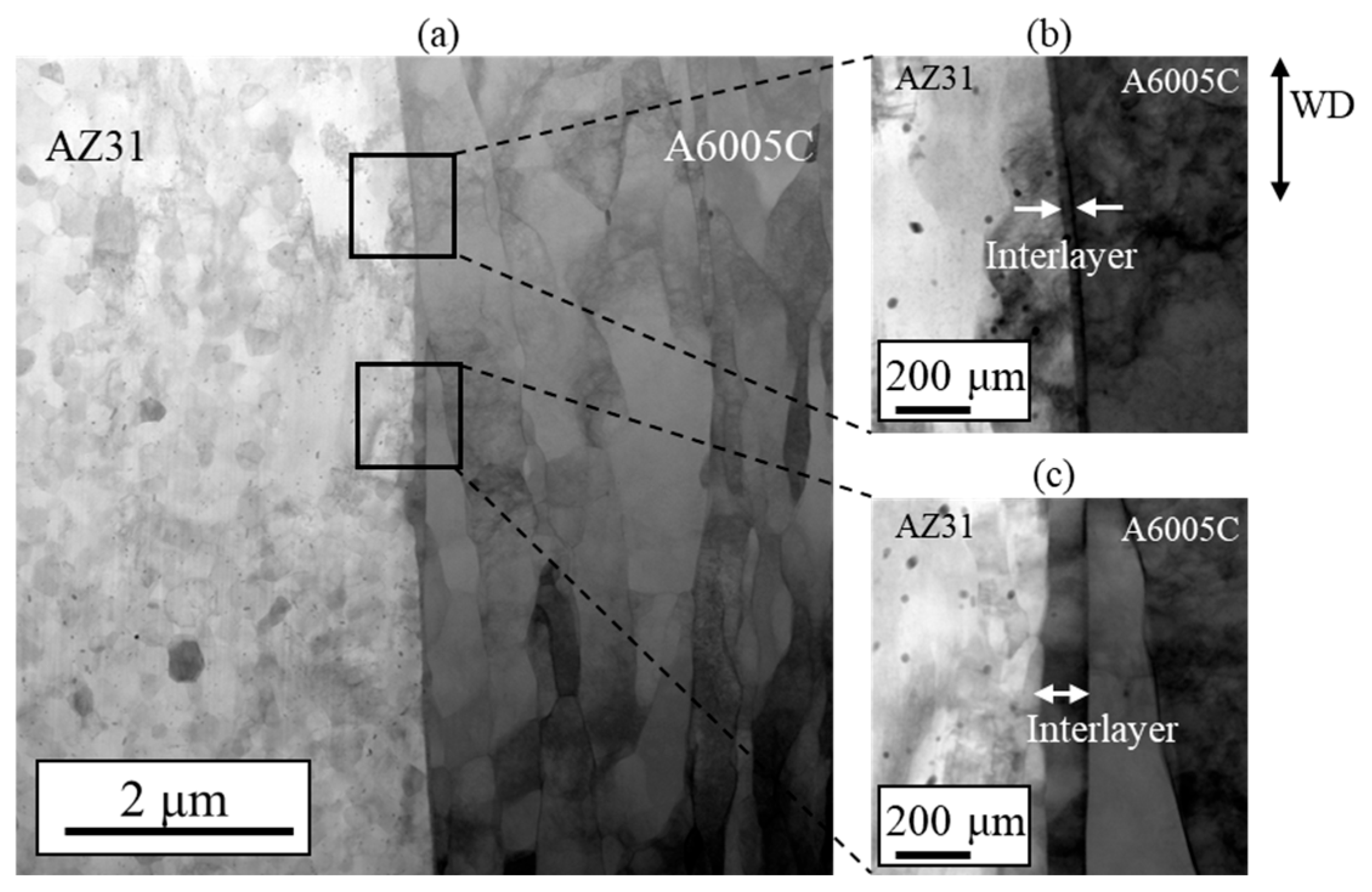 Materials 18 01013 g006 Materials 18 01013 g006