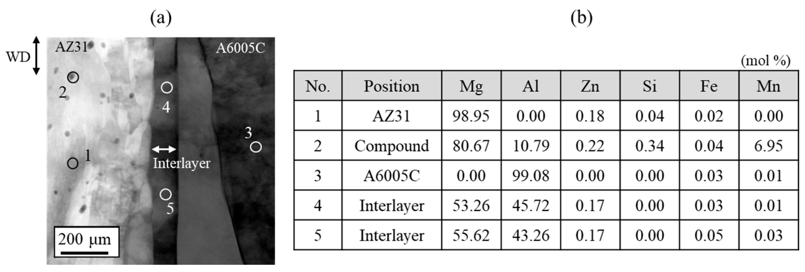 Materials 18 01013 g008 Materials 18 01013 g008