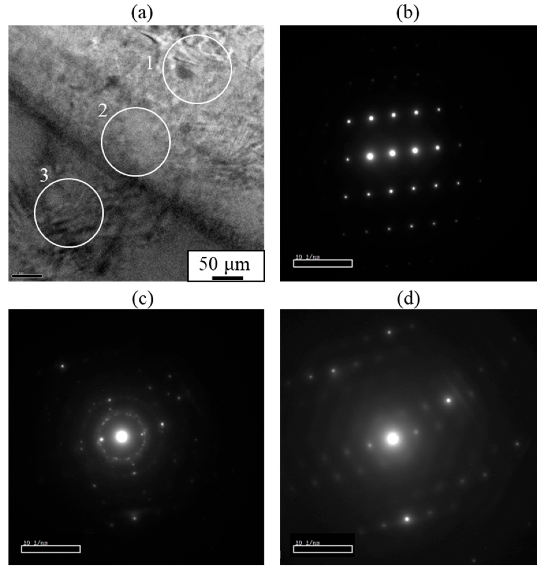 Materials 18 01013 g009 Materials 18 01013 g009