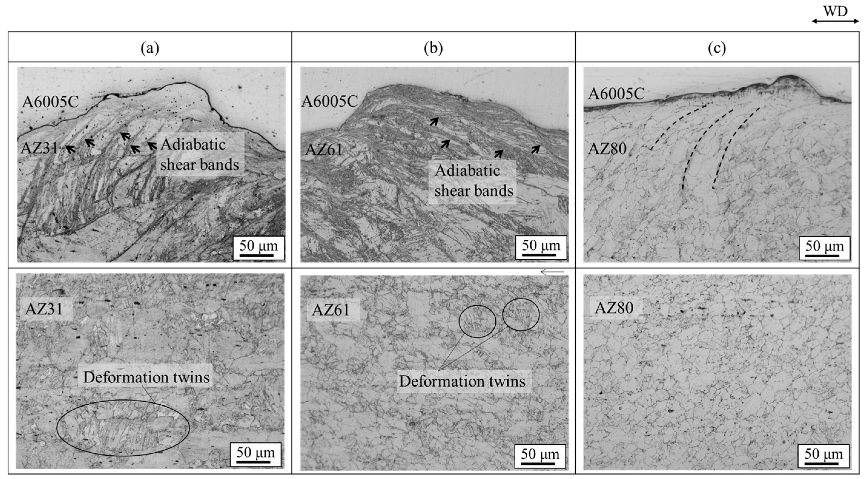 Materials 18 01013 g013 Materials 18 01013 g013