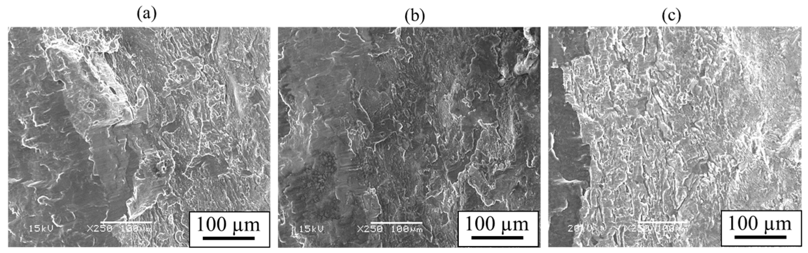 Materials 18 01013 g018 Materials 18 01013 g018