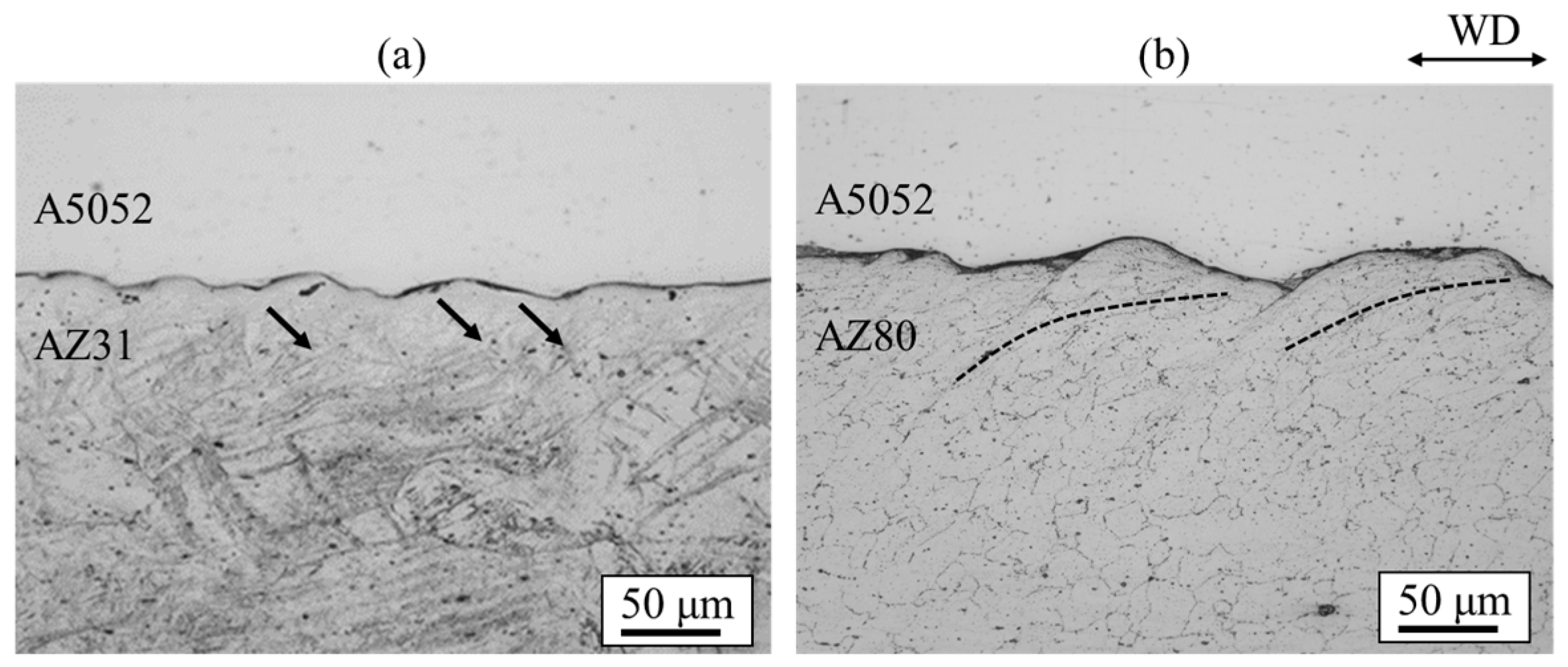 Materials 18 01013 g021 Materials 18 01013 g021