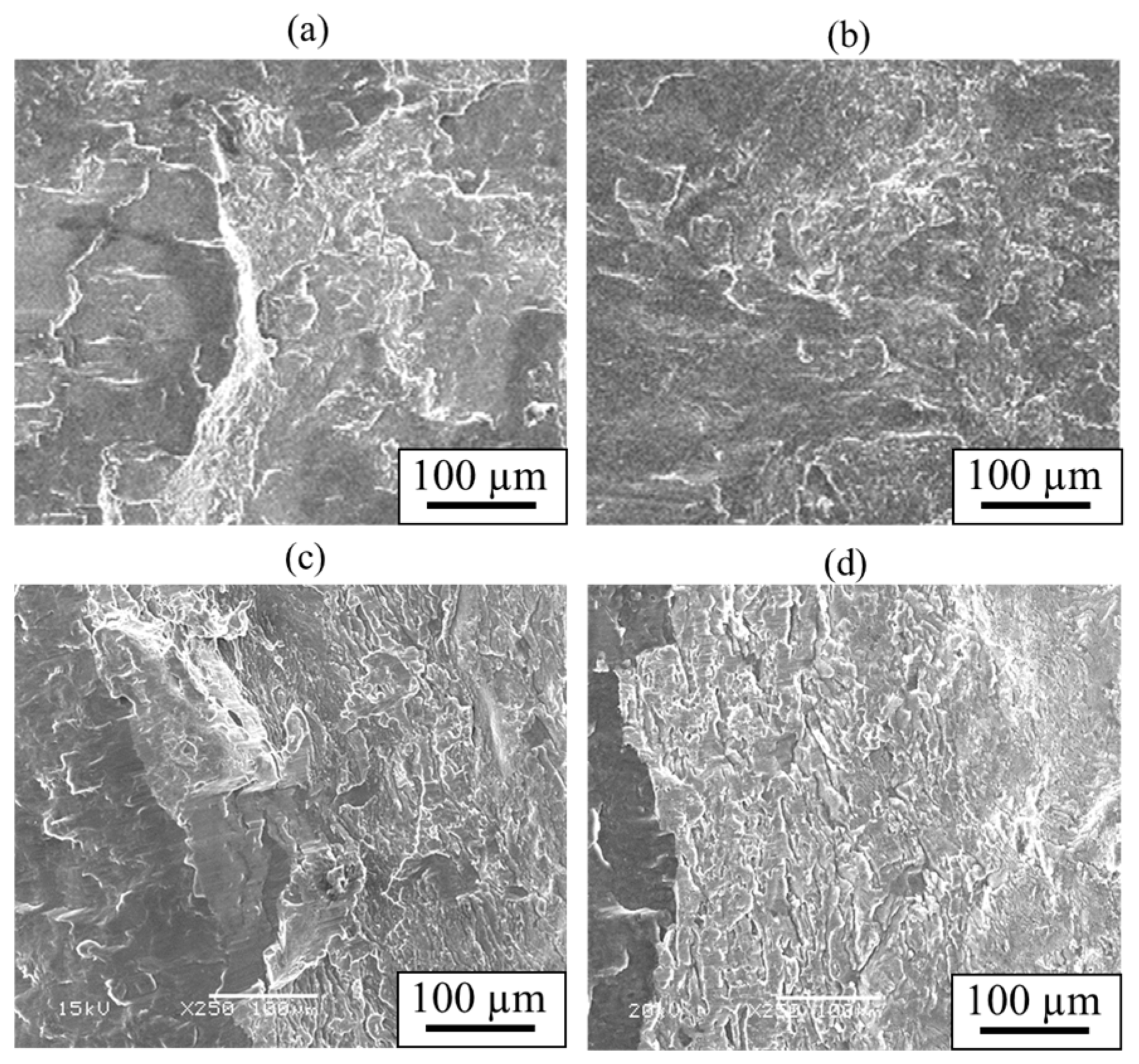 Materials 18 01013 g024 Materials 18 01013 g024
