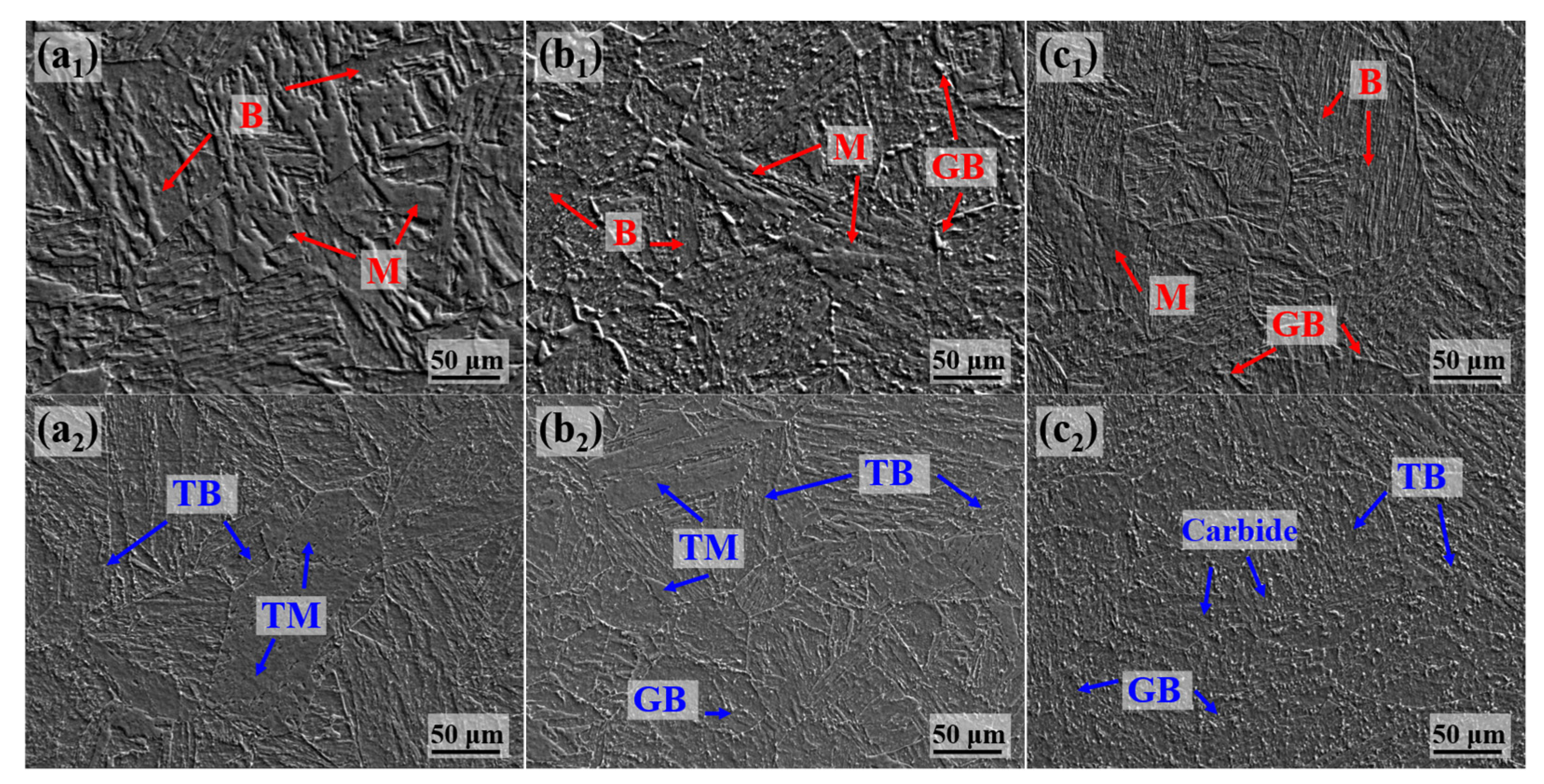 Materials 18 01015 g005