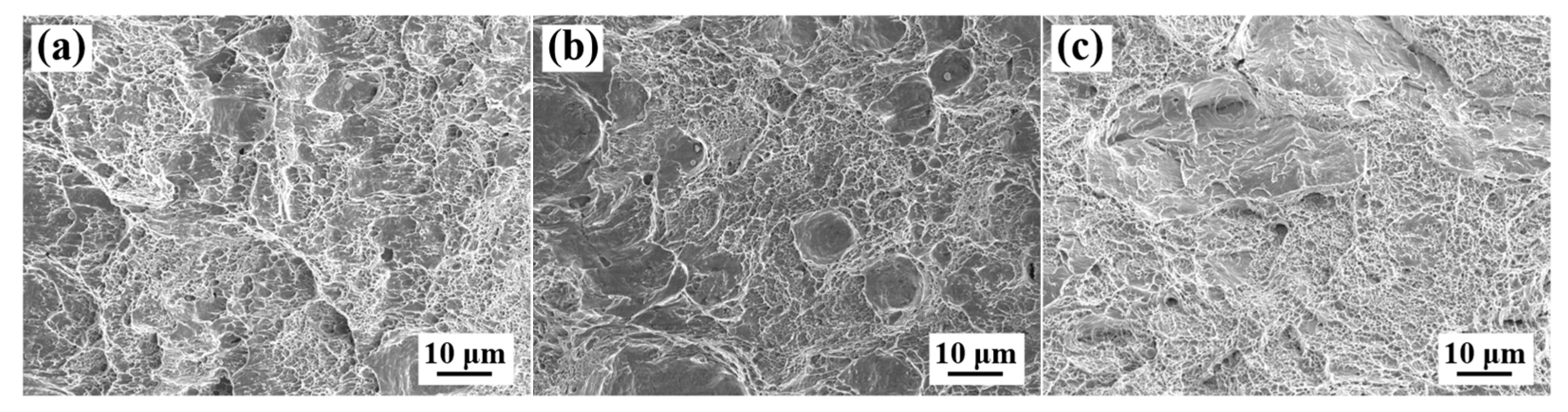 Materials 18 01015 g012