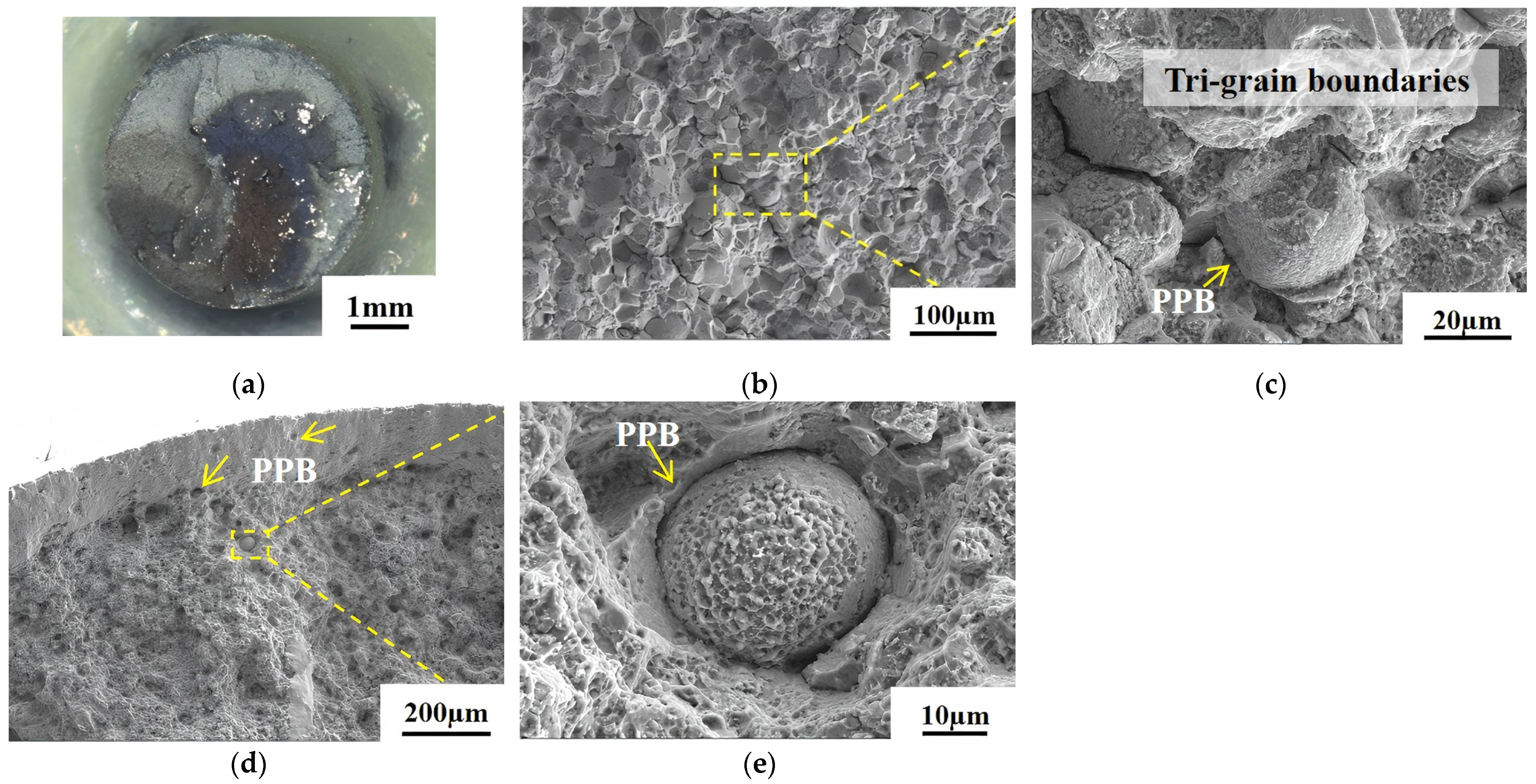 Materials 18 01018 g011