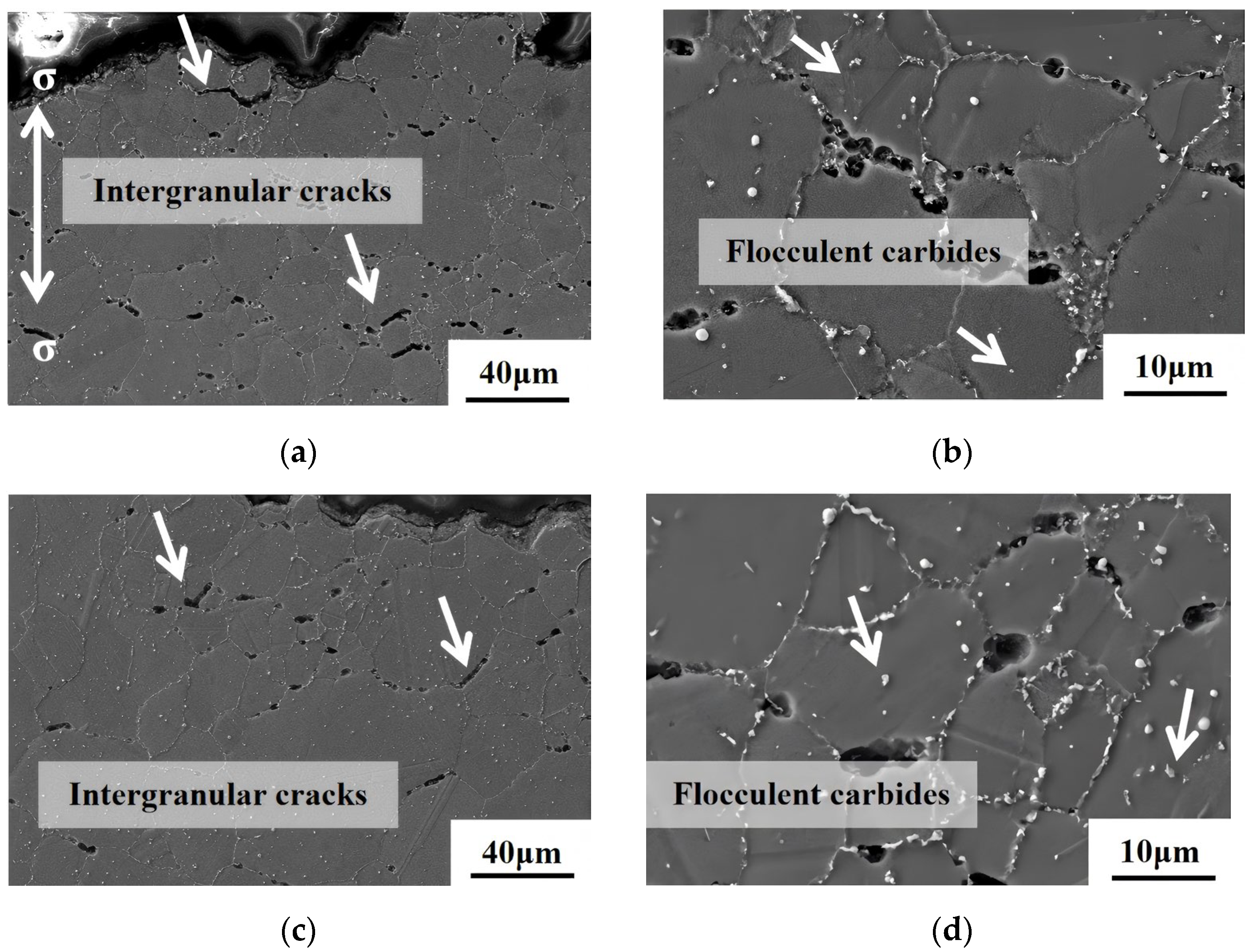 Materials 18 01018 g013