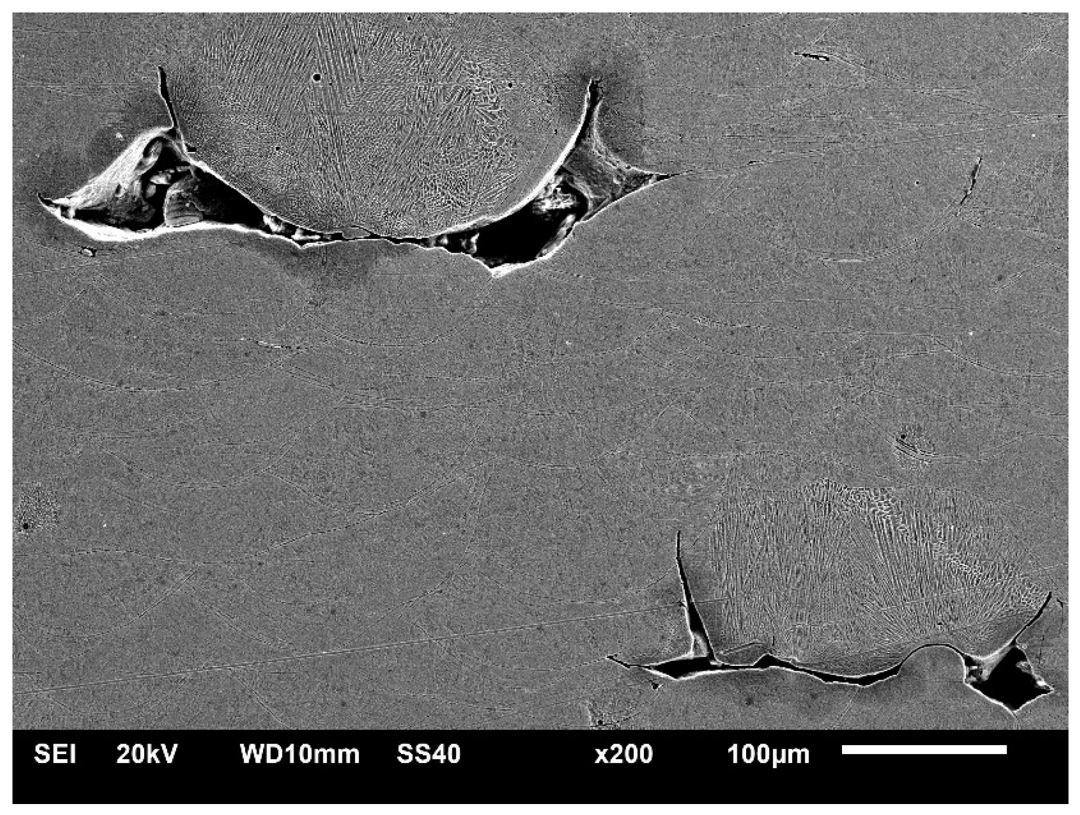 Materials 18 01019 g009