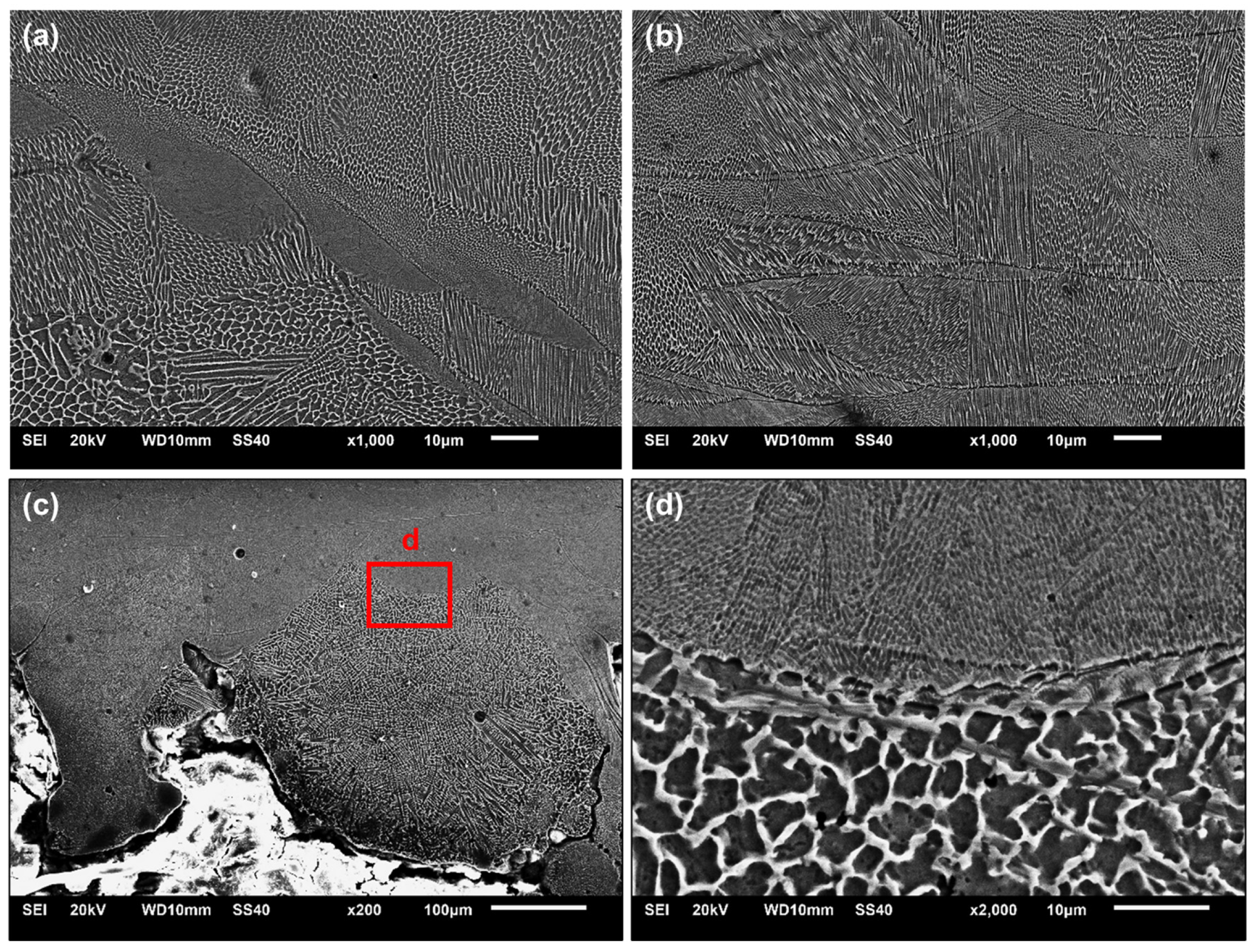 Materials 18 01019 g011