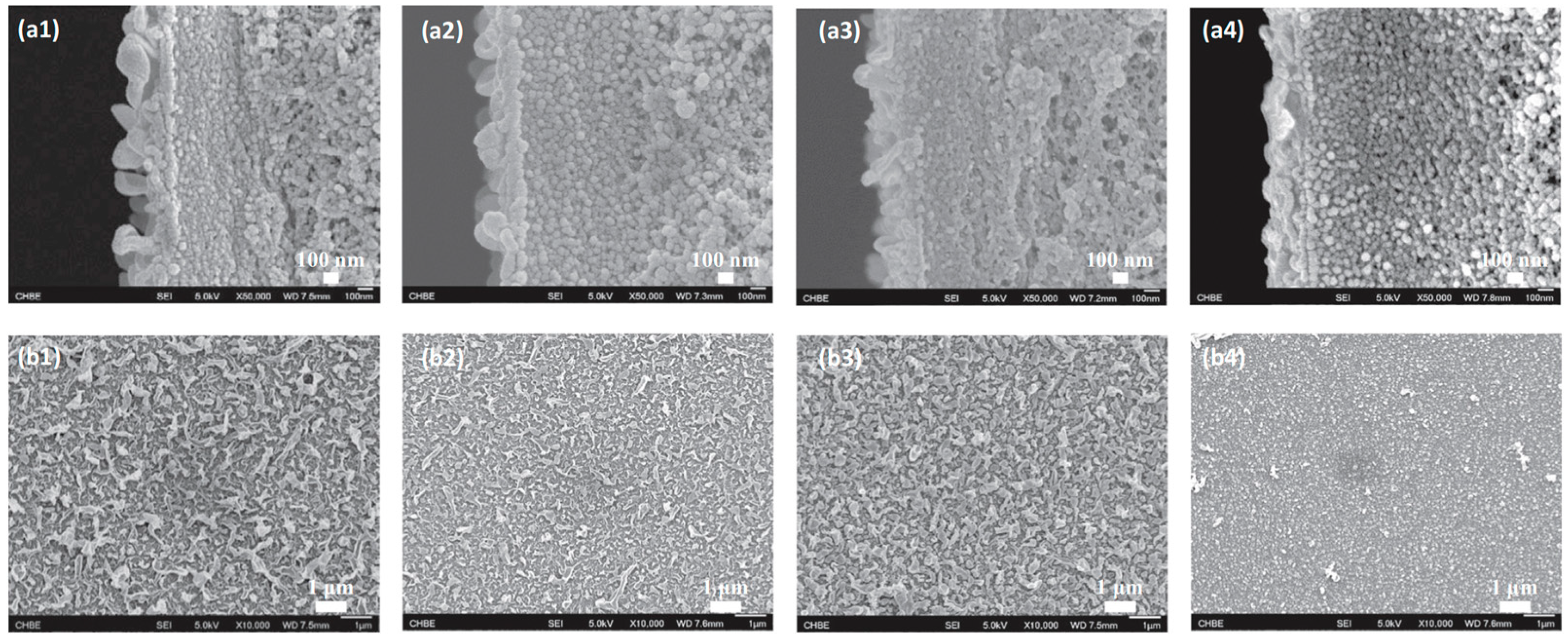 Materials 18 01020 g003 Materials 18 01020 g003
