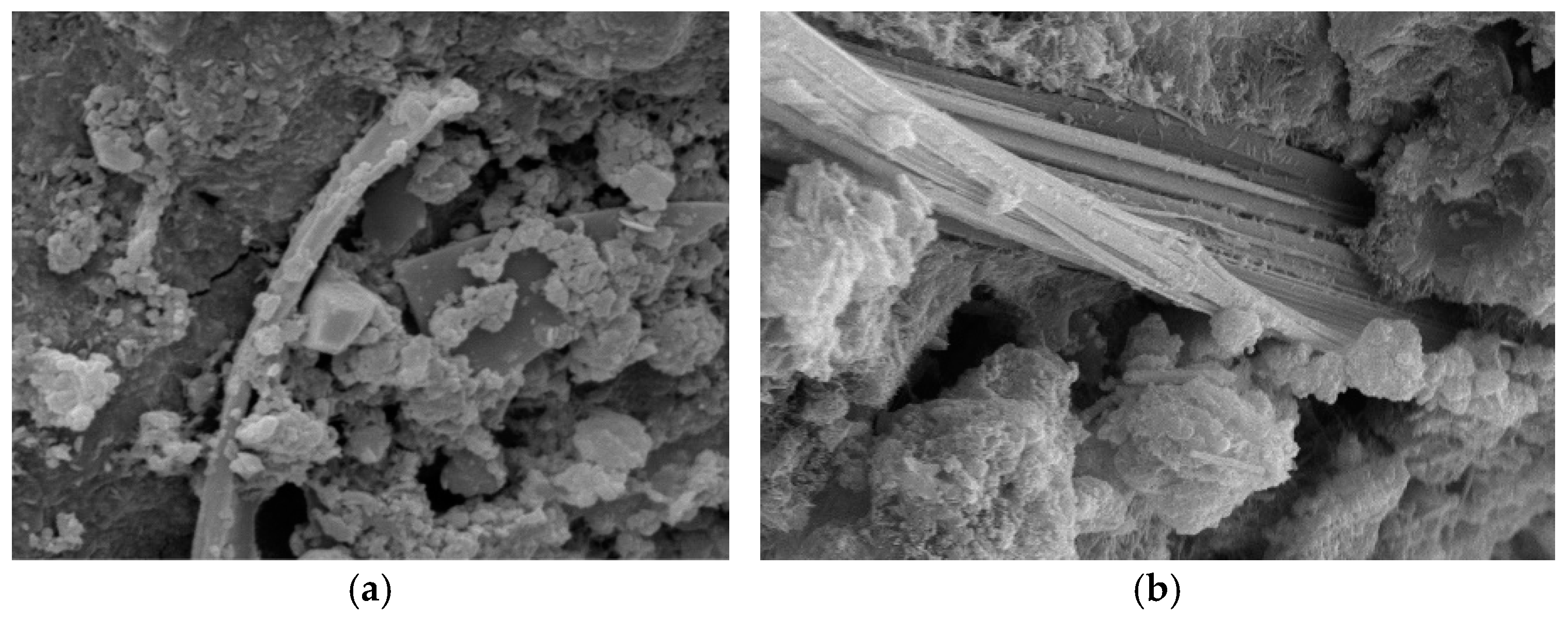 Materials 18 01021 g008