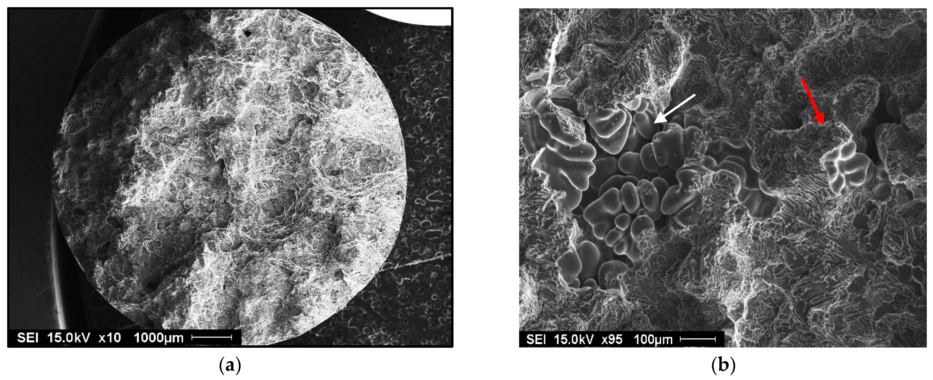 Materials 18 01024 g012a