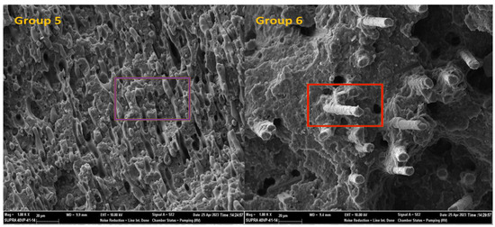 Enhancing Mechanical and Thermal Performance of Recycled PA6/PP Blends ...