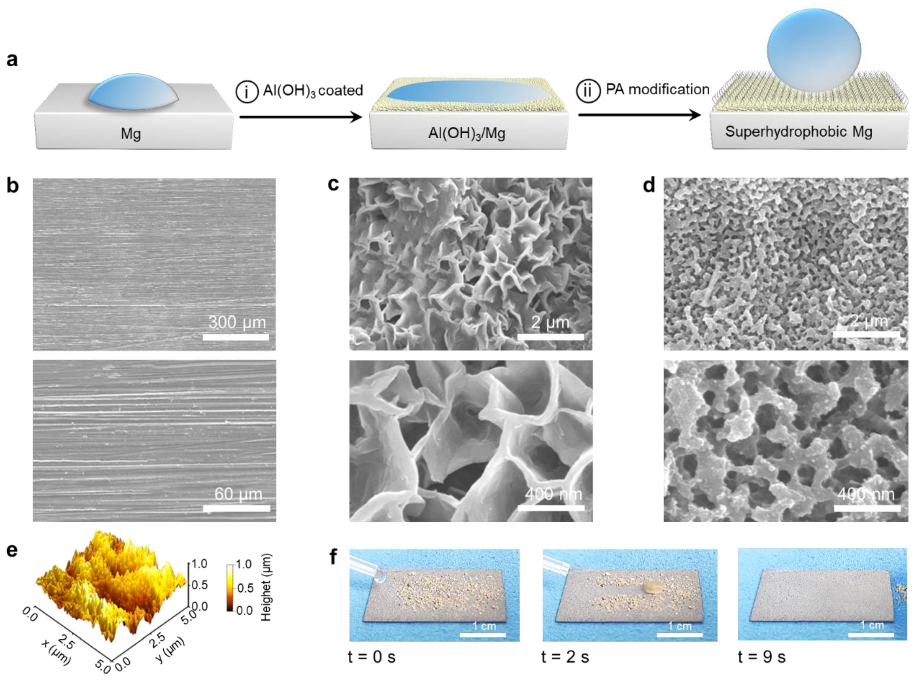Materials 18 01028 g001