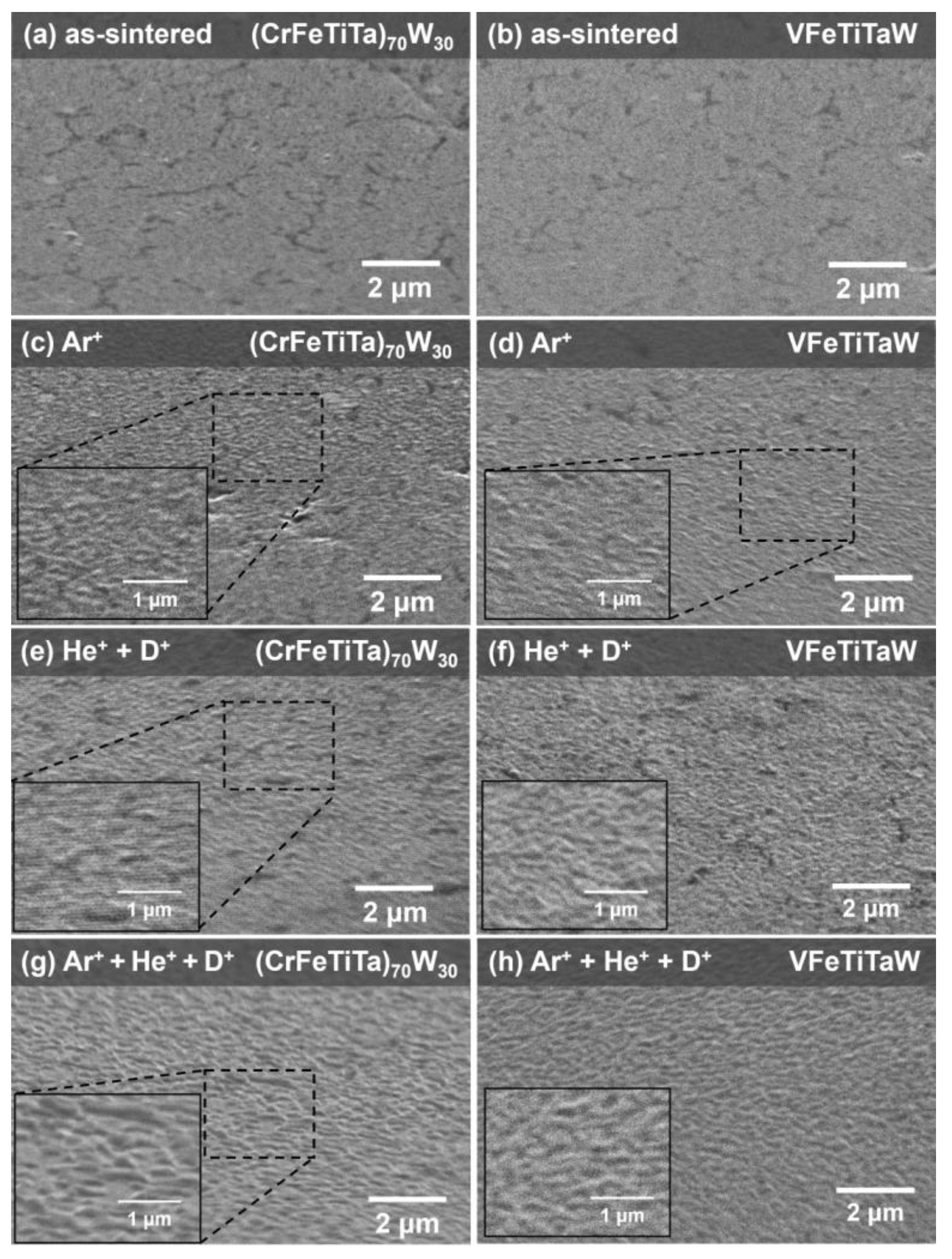 Materials 18 01030 g006