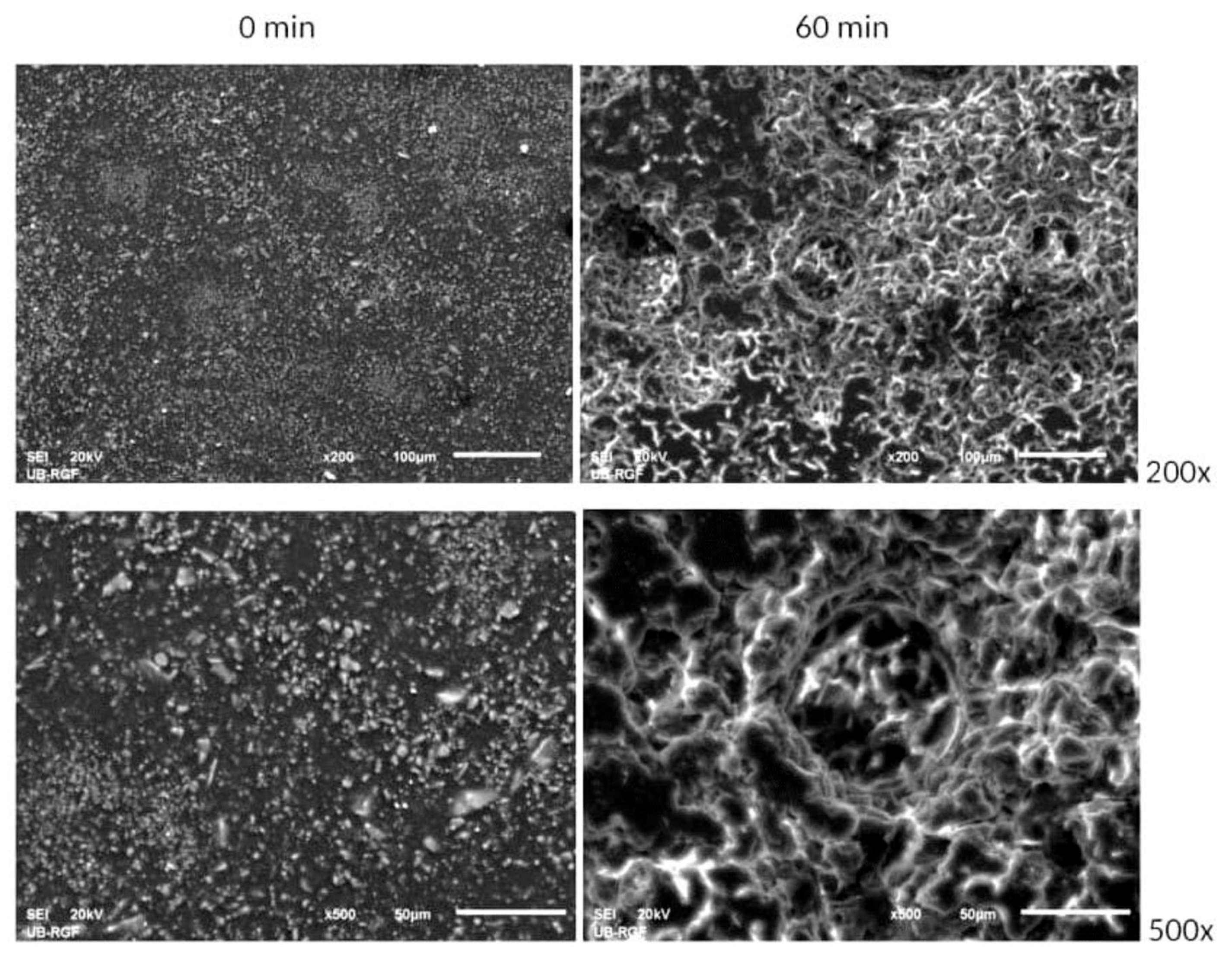 Materials 18 01034 g007