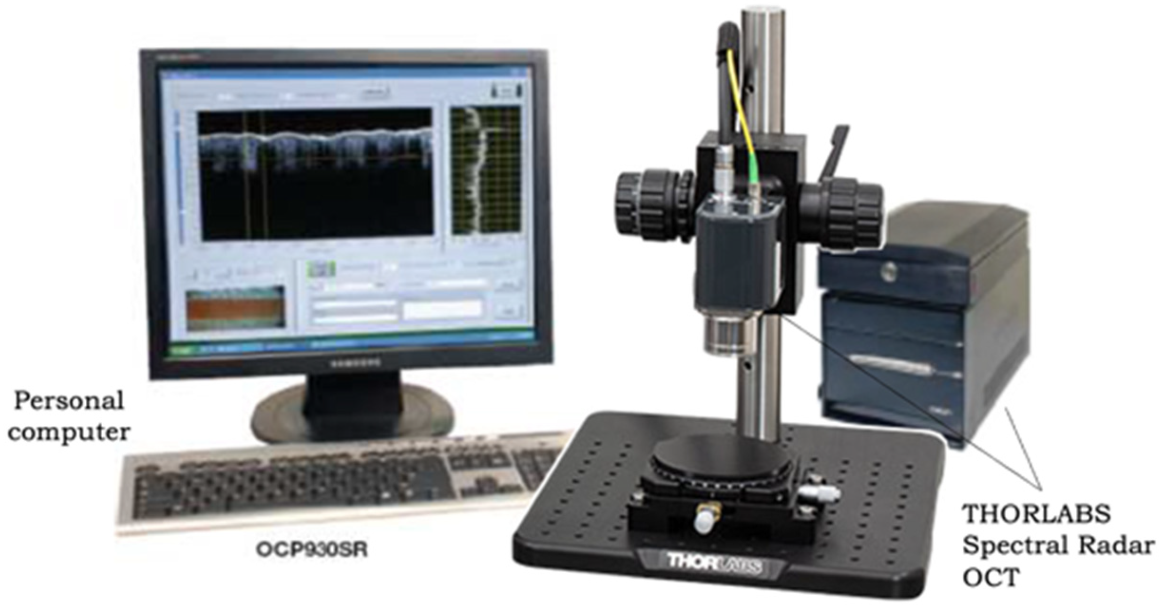 Materials 18 01035 g004 Materials 18 01035 g004