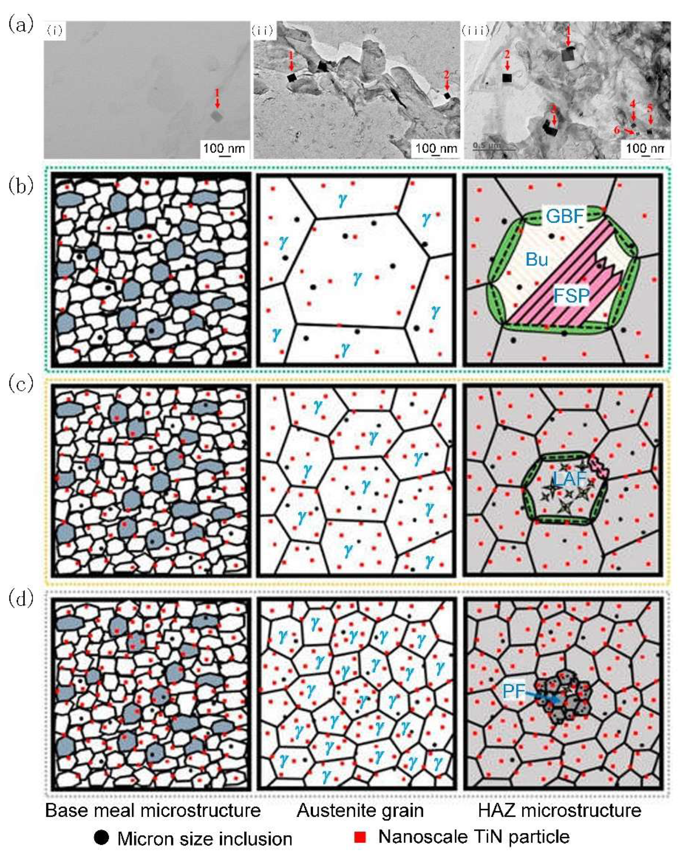 Materials 18 01036 g004