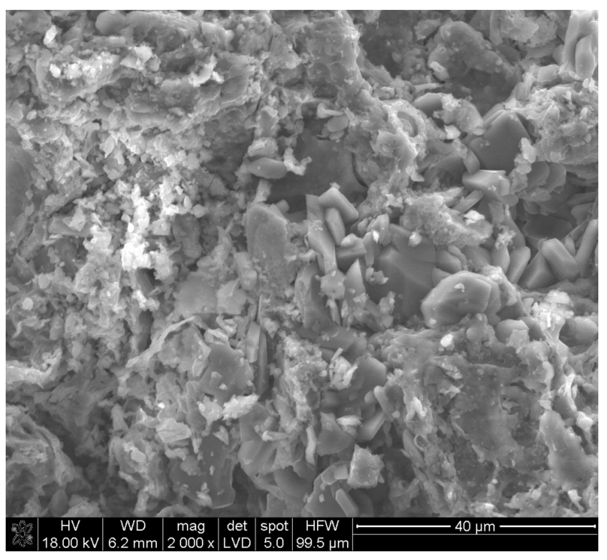 Materials 18 01041 g007