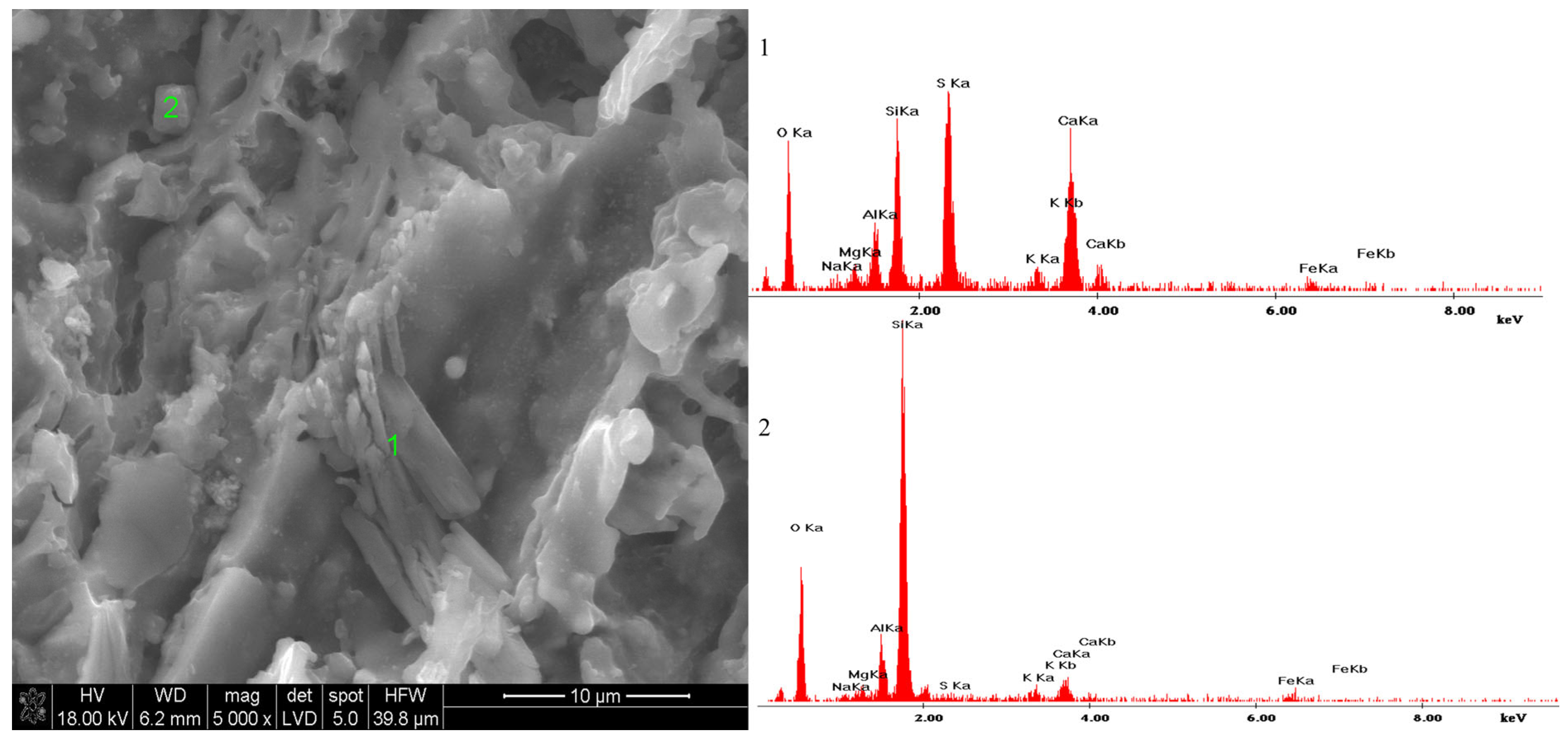 Materials 18 01041 g010