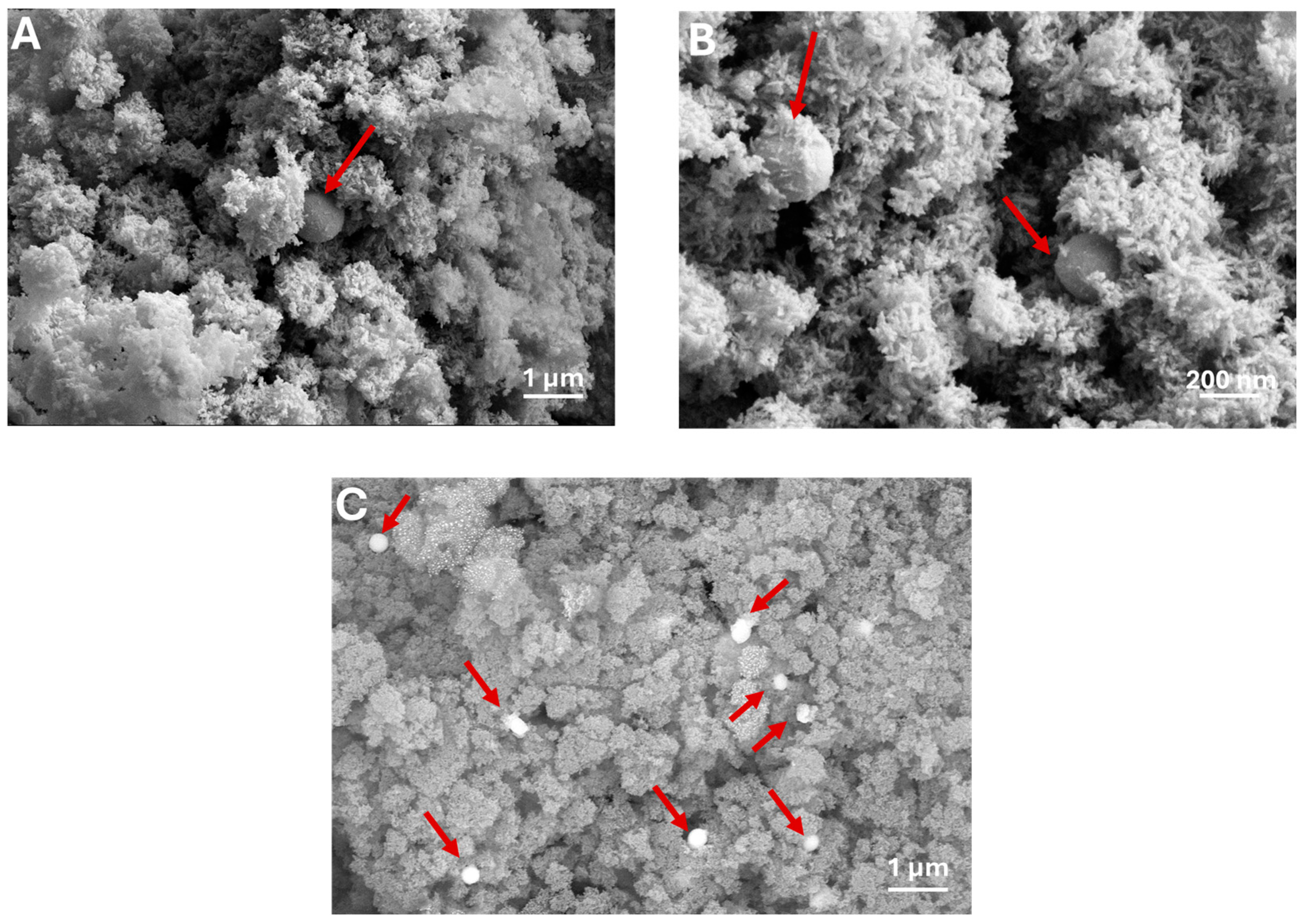 Materials 18 01043 g005