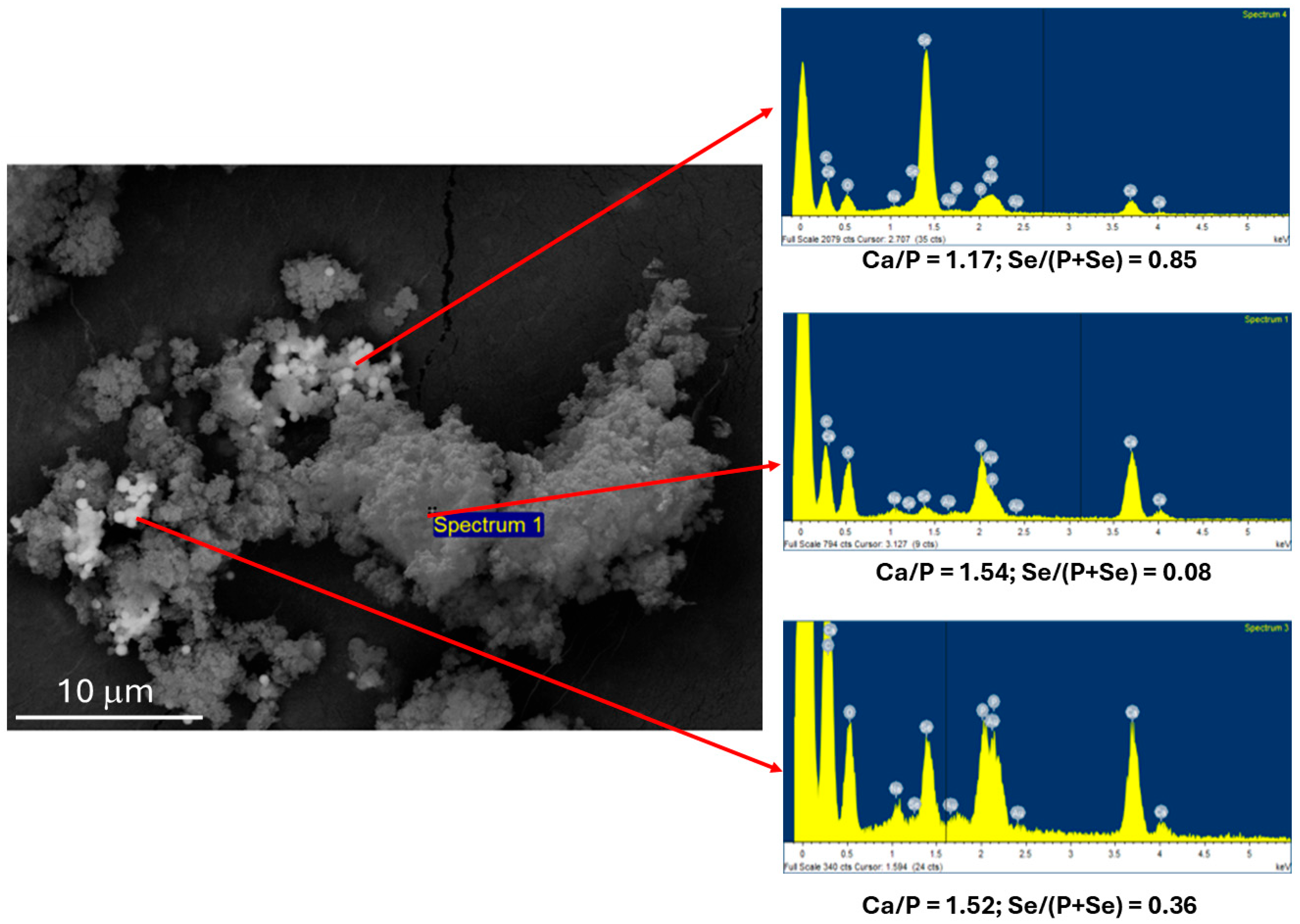 Materials 18 01043 g006
