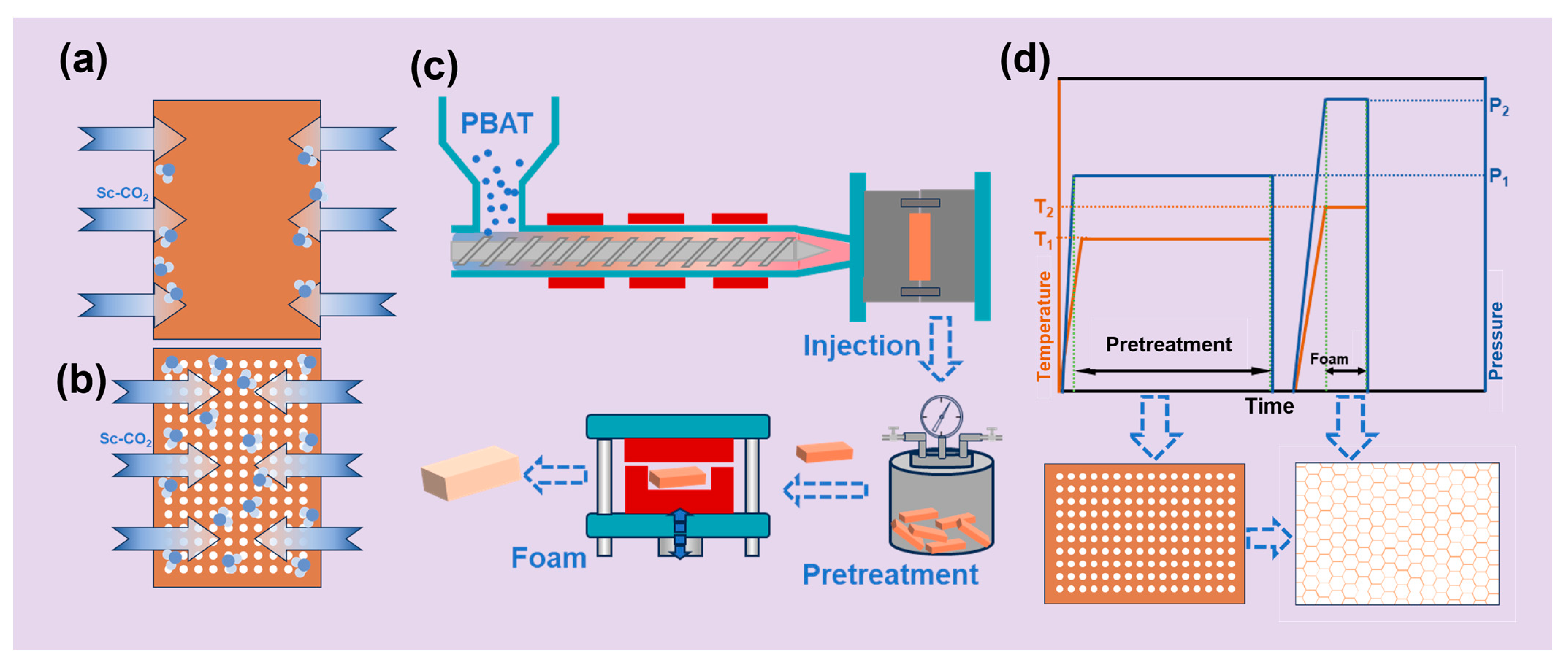 Materials 18 01044 g001