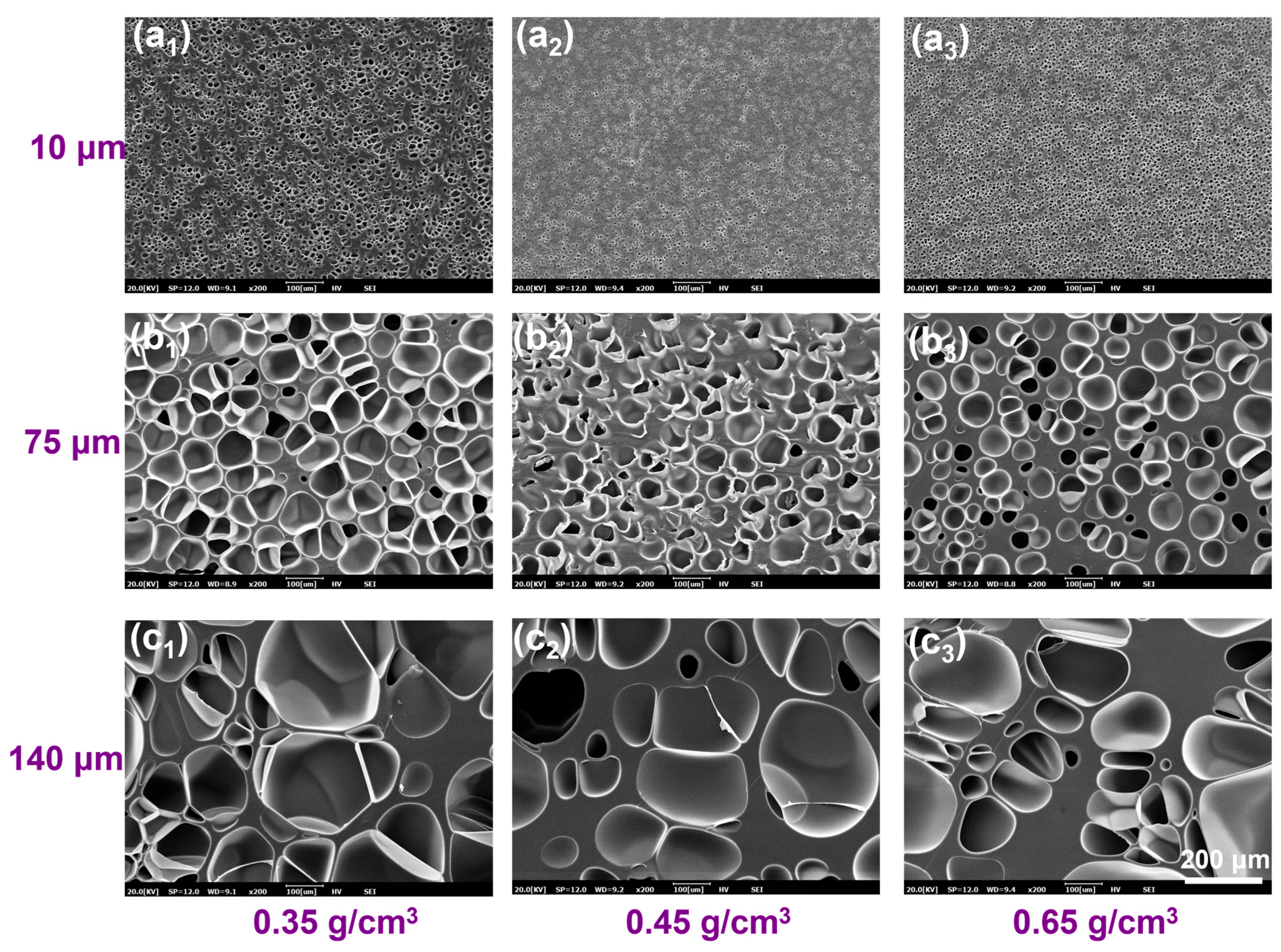 Materials 18 01044 g006