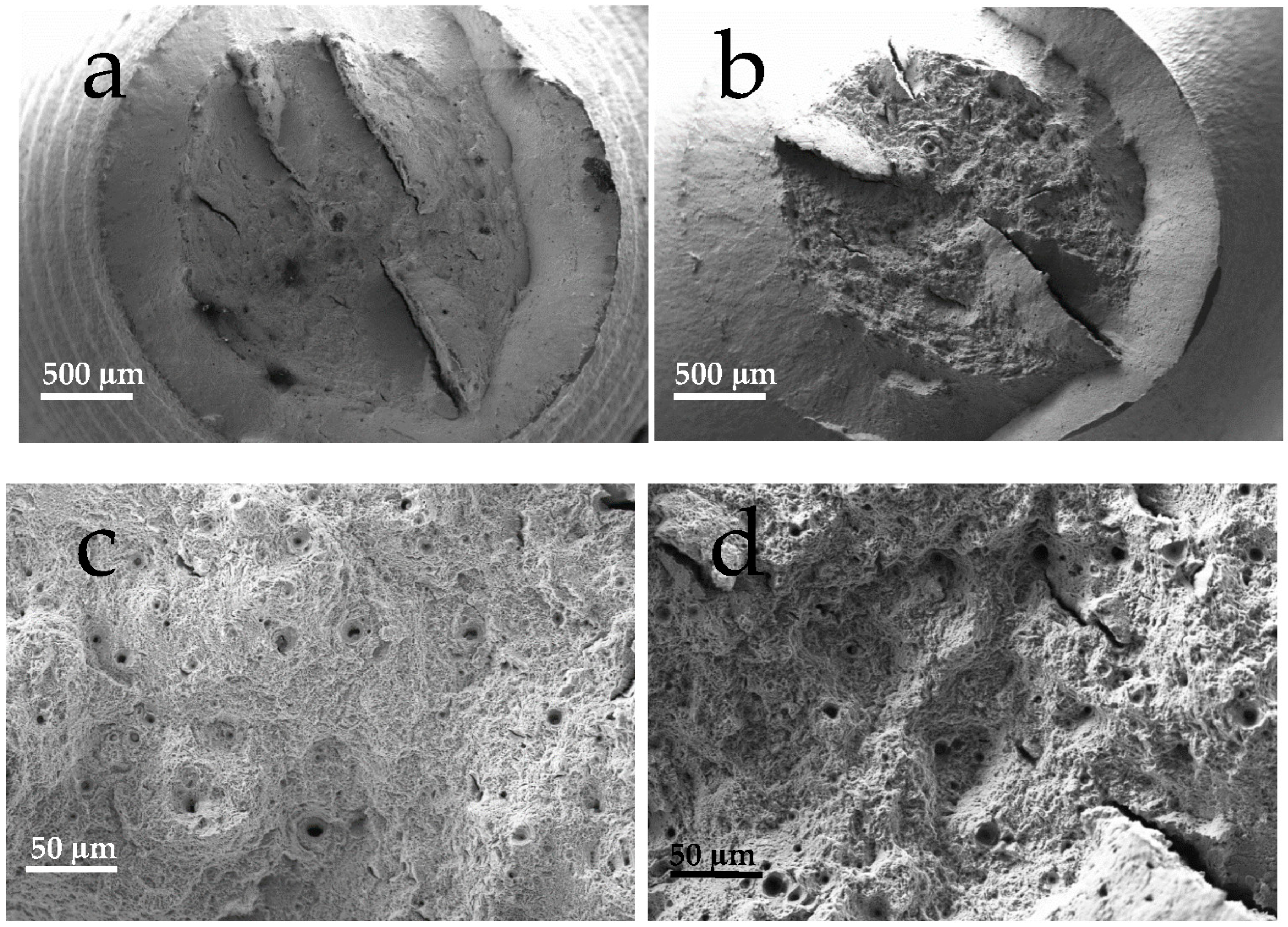 Materials 18 01047 g011