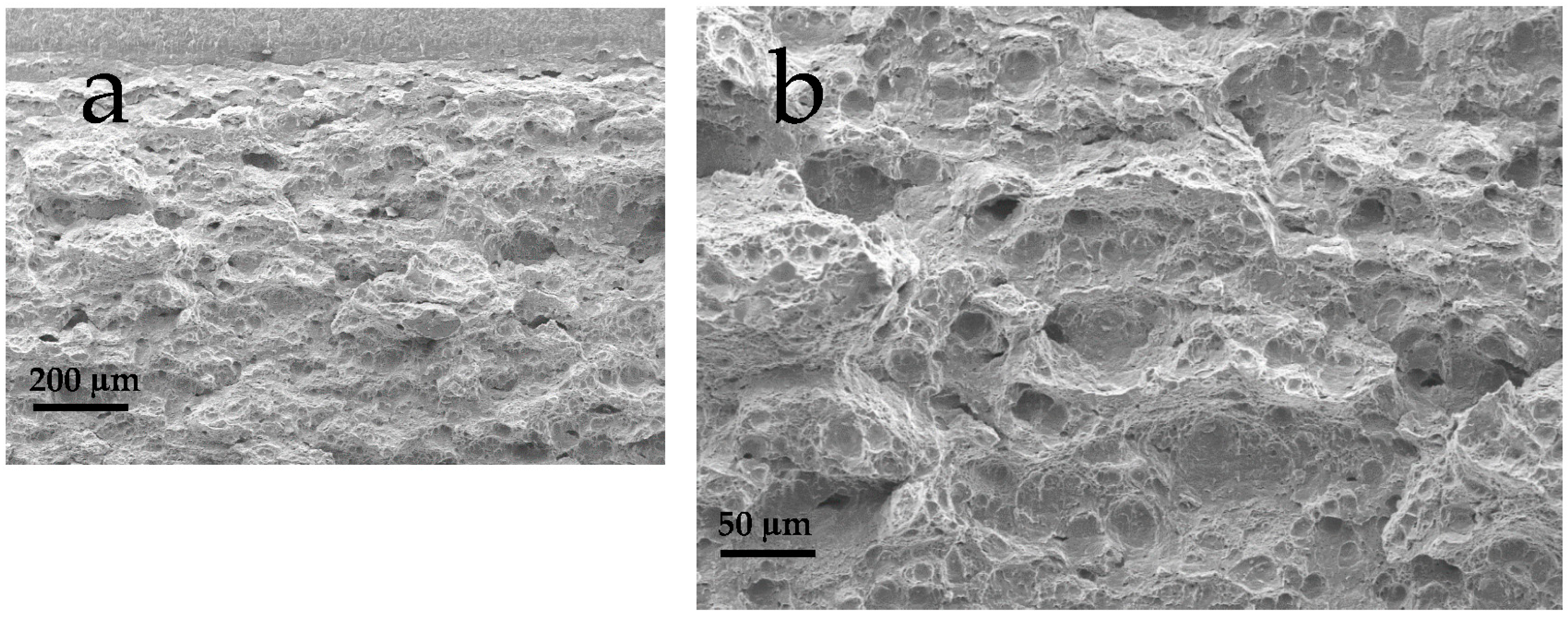 Materials 18 01047 g012a