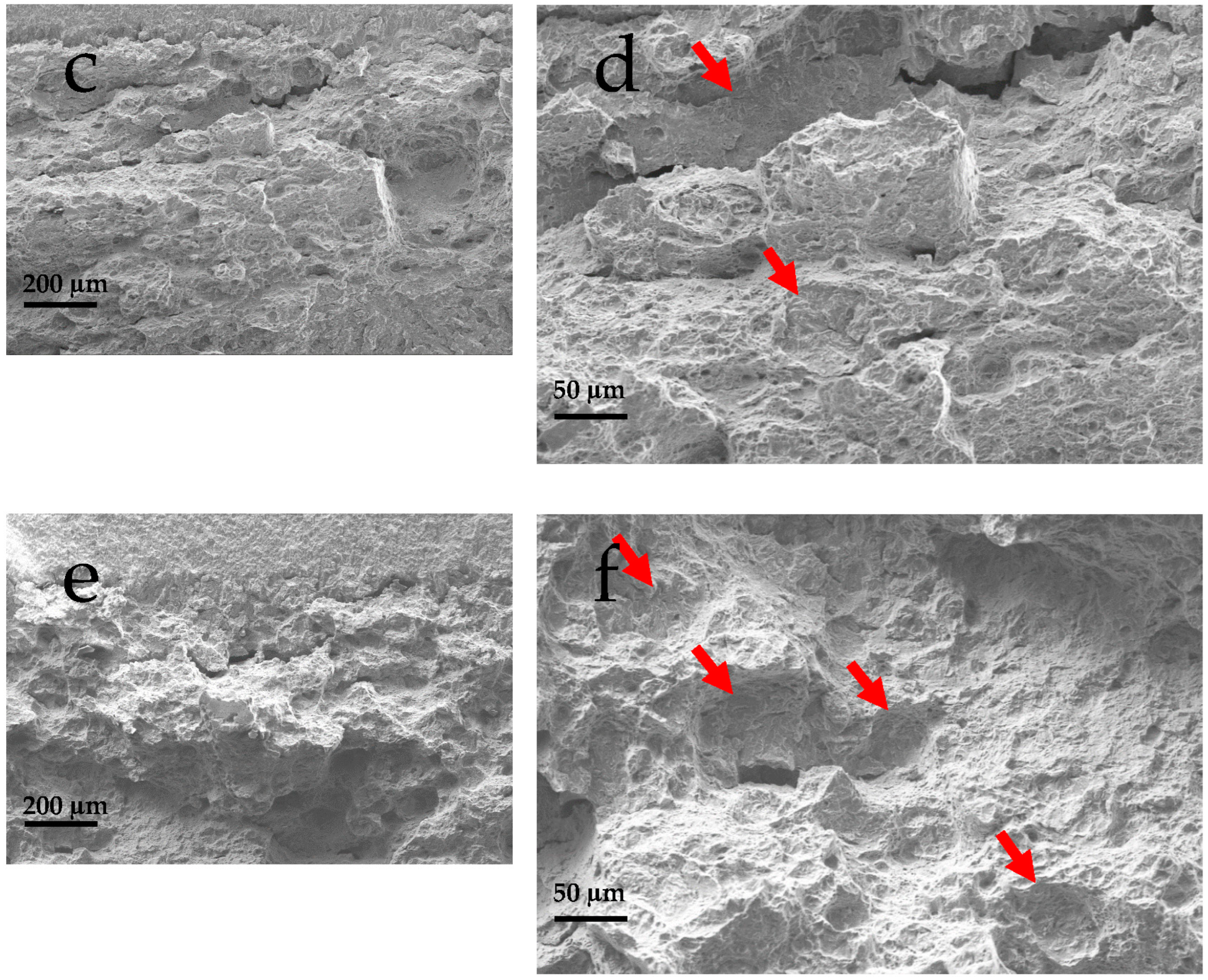 Materials 18 01047 g012b