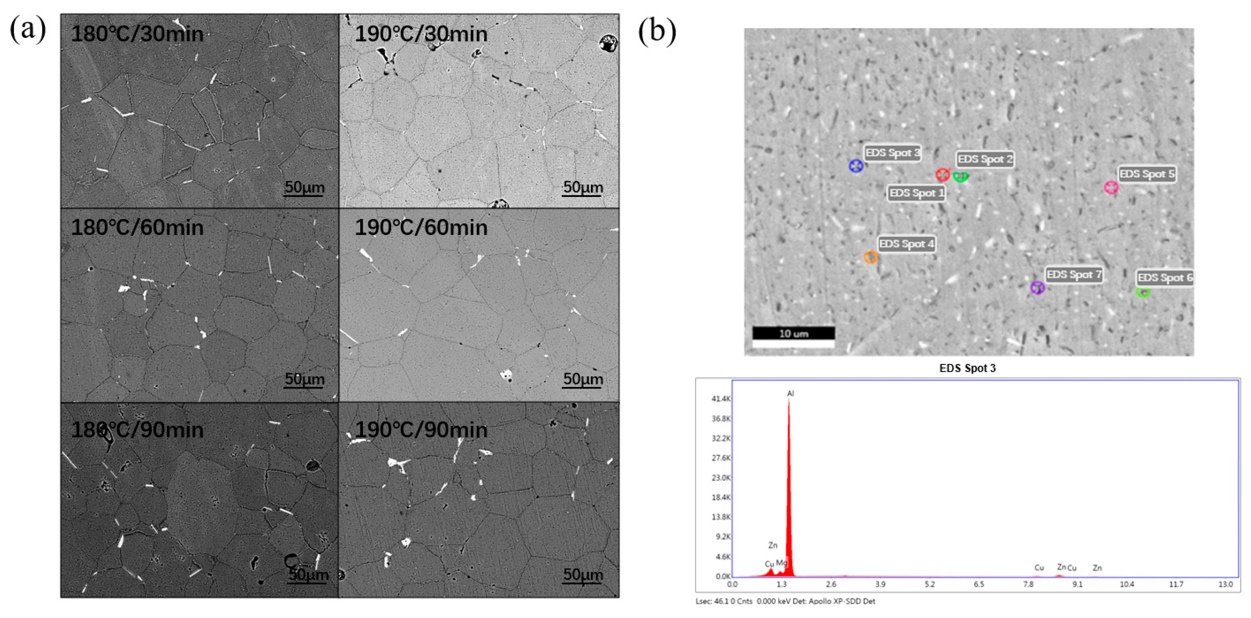 Materials 18 01063 g003