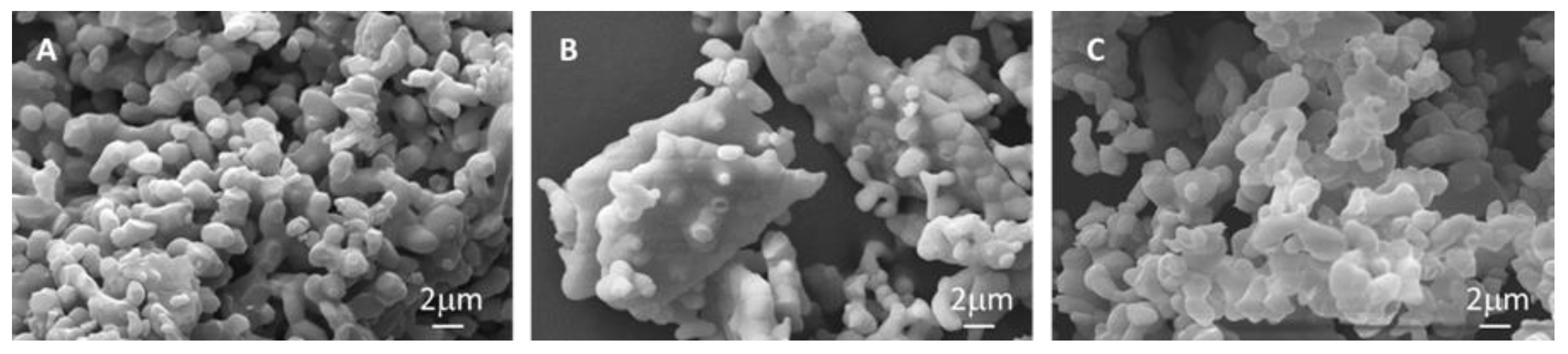 Materials 18 01065 g003