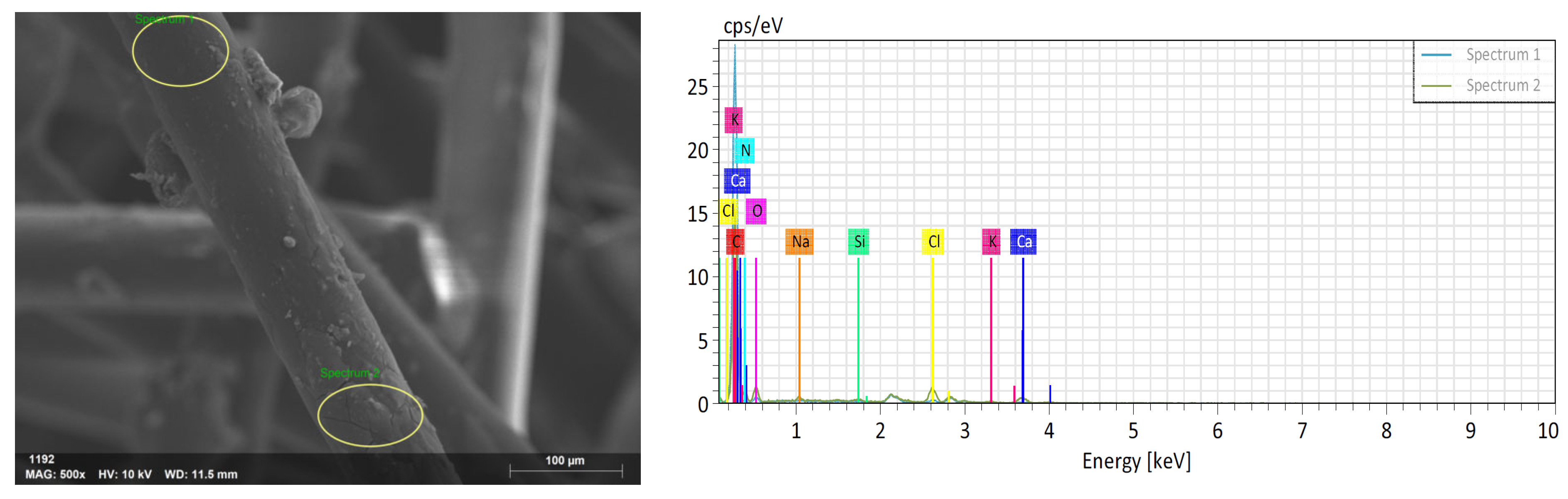 Materials 18 01071 g005