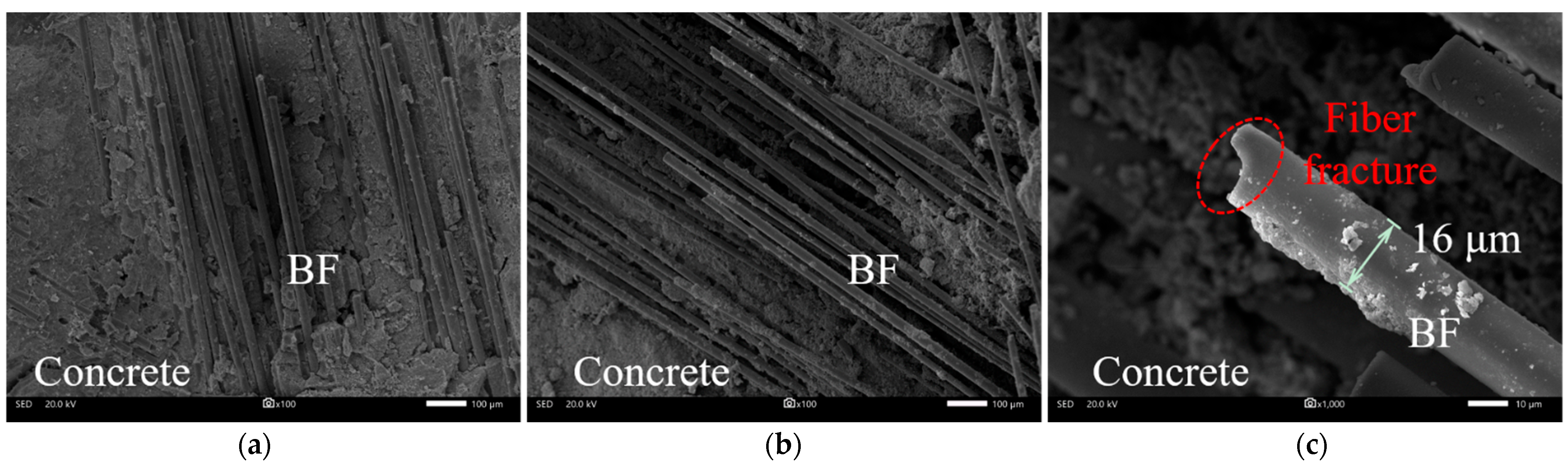 Materials 18 01072 g018
