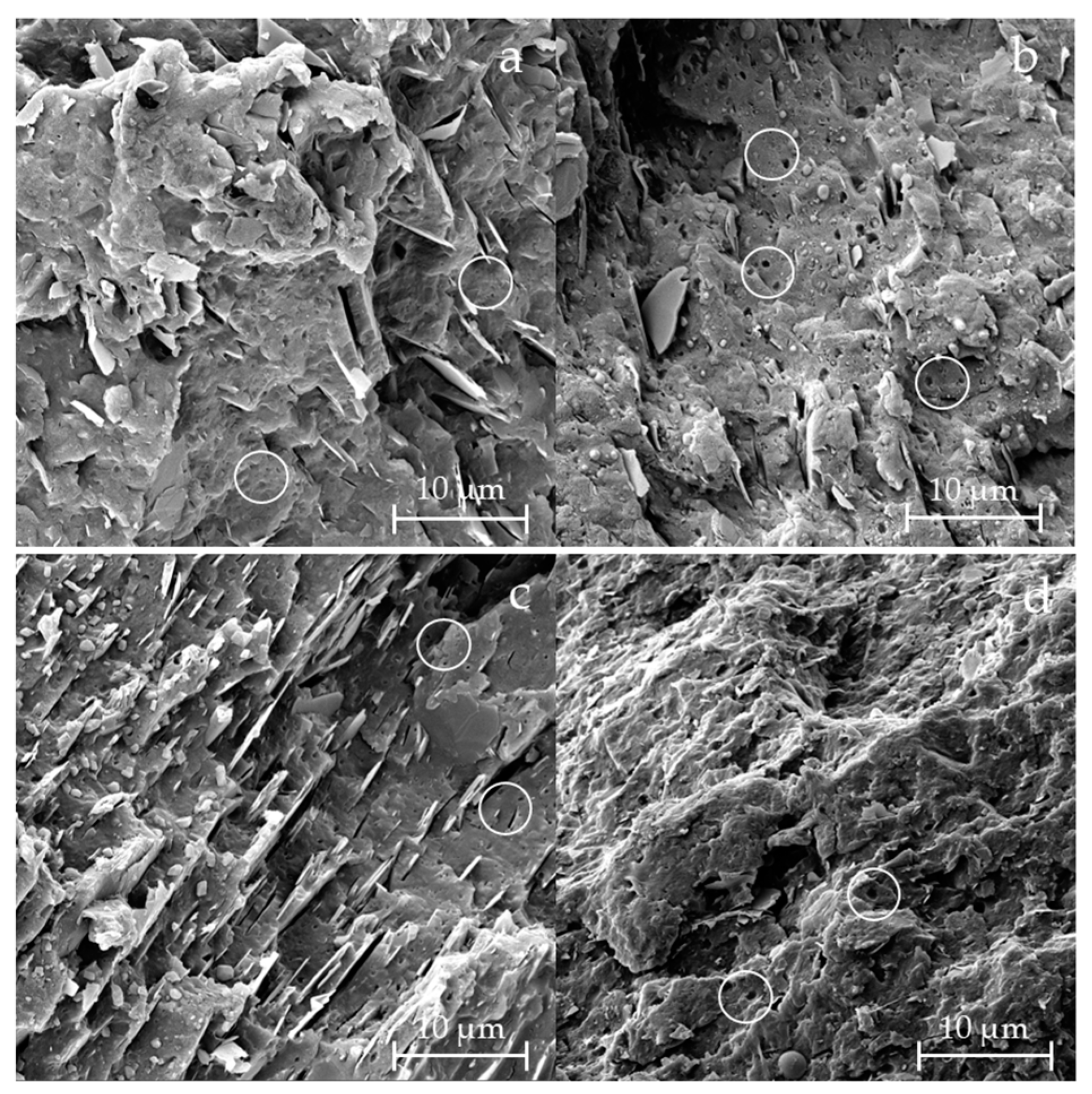 Materials 18 01090 g001