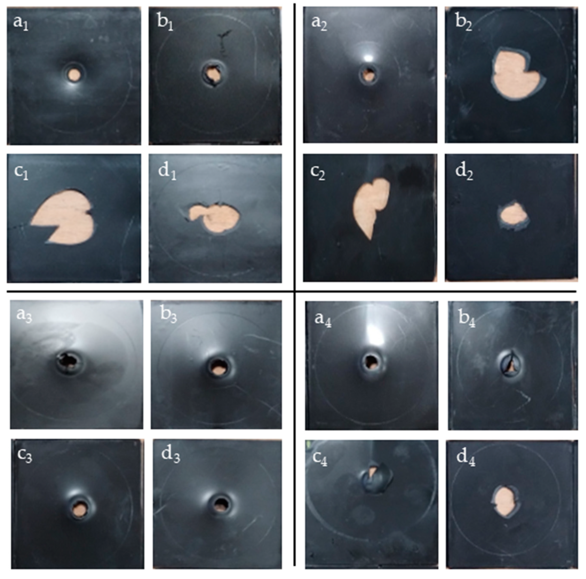 Materials 18 01090 g006