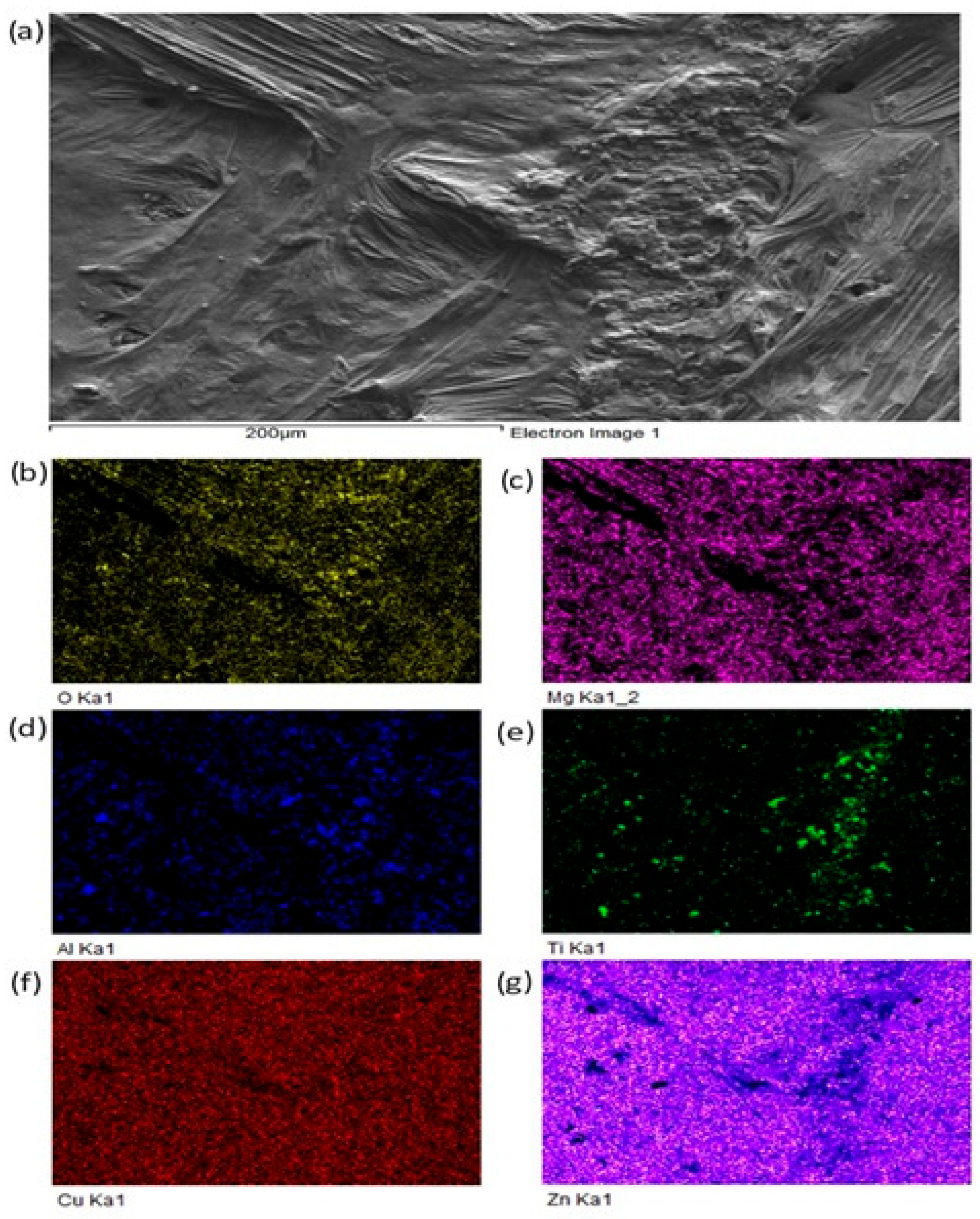 Materials 18 01094 g018