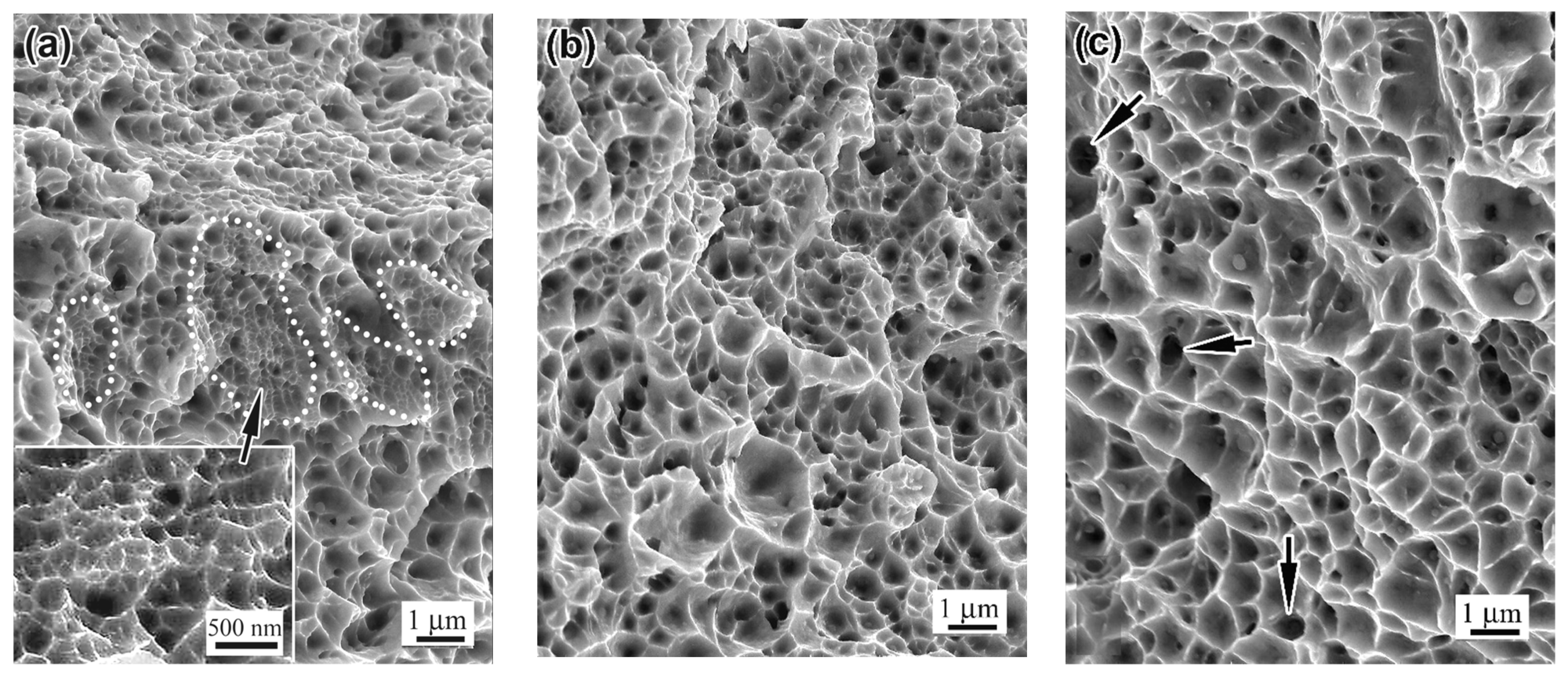 Materials 18 01102 g017a