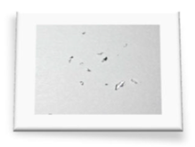 Materials 18 01104 i030 Materials 18 01104 i030