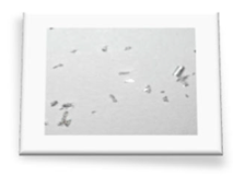 Materials 18 01104 i031 Materials 18 01104 i031