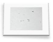 Materials 18 01104 i082 Materials 18 01104 i082