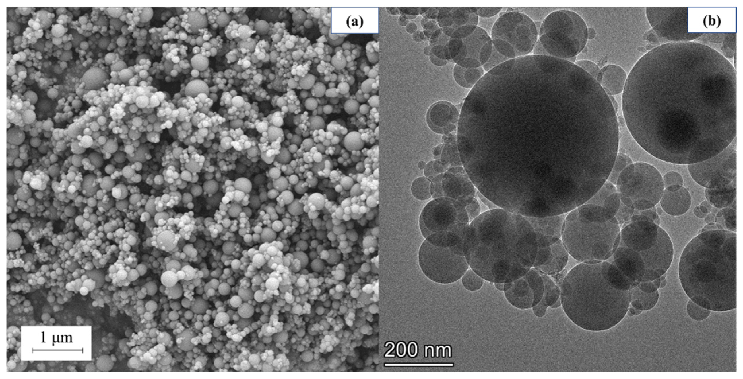 Materials 18 01105 g004