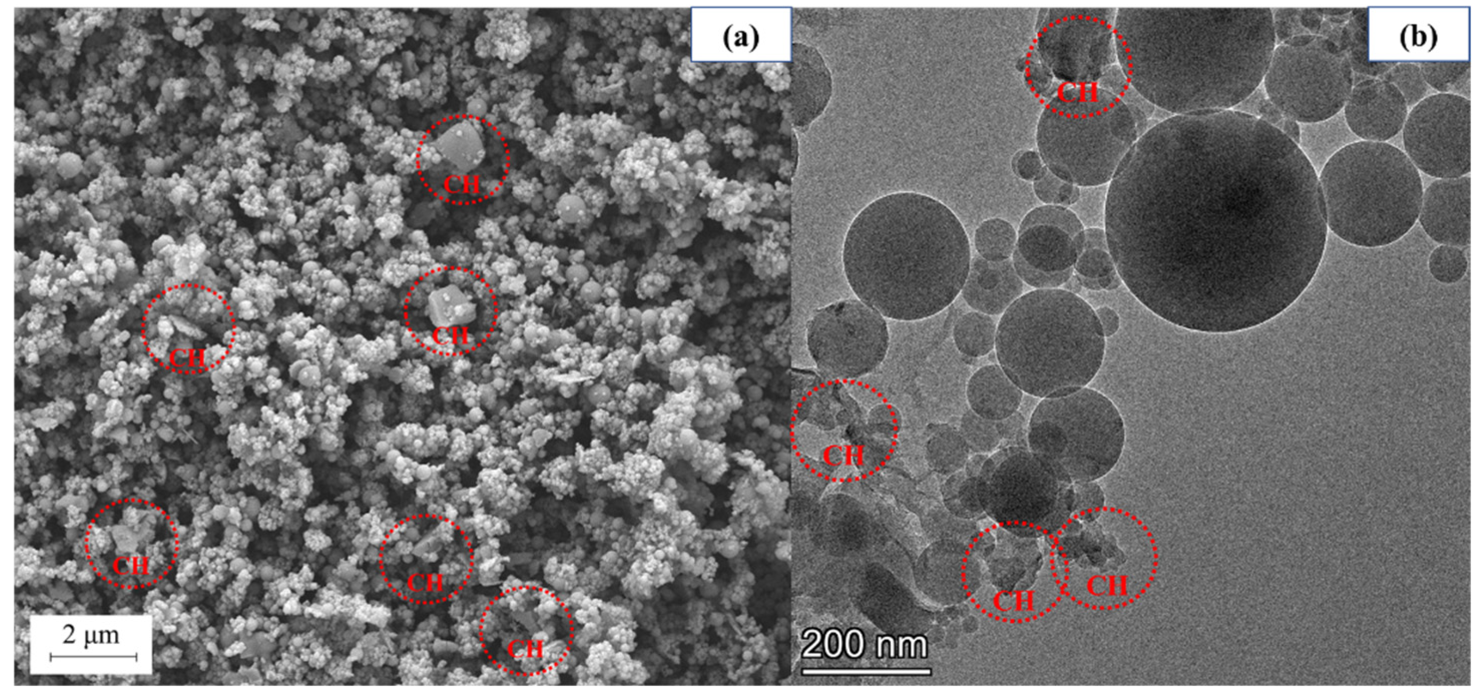 Materials 18 01105 g005