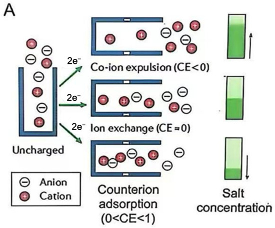 Selective Ion Separation by Capacitive Deionization: A